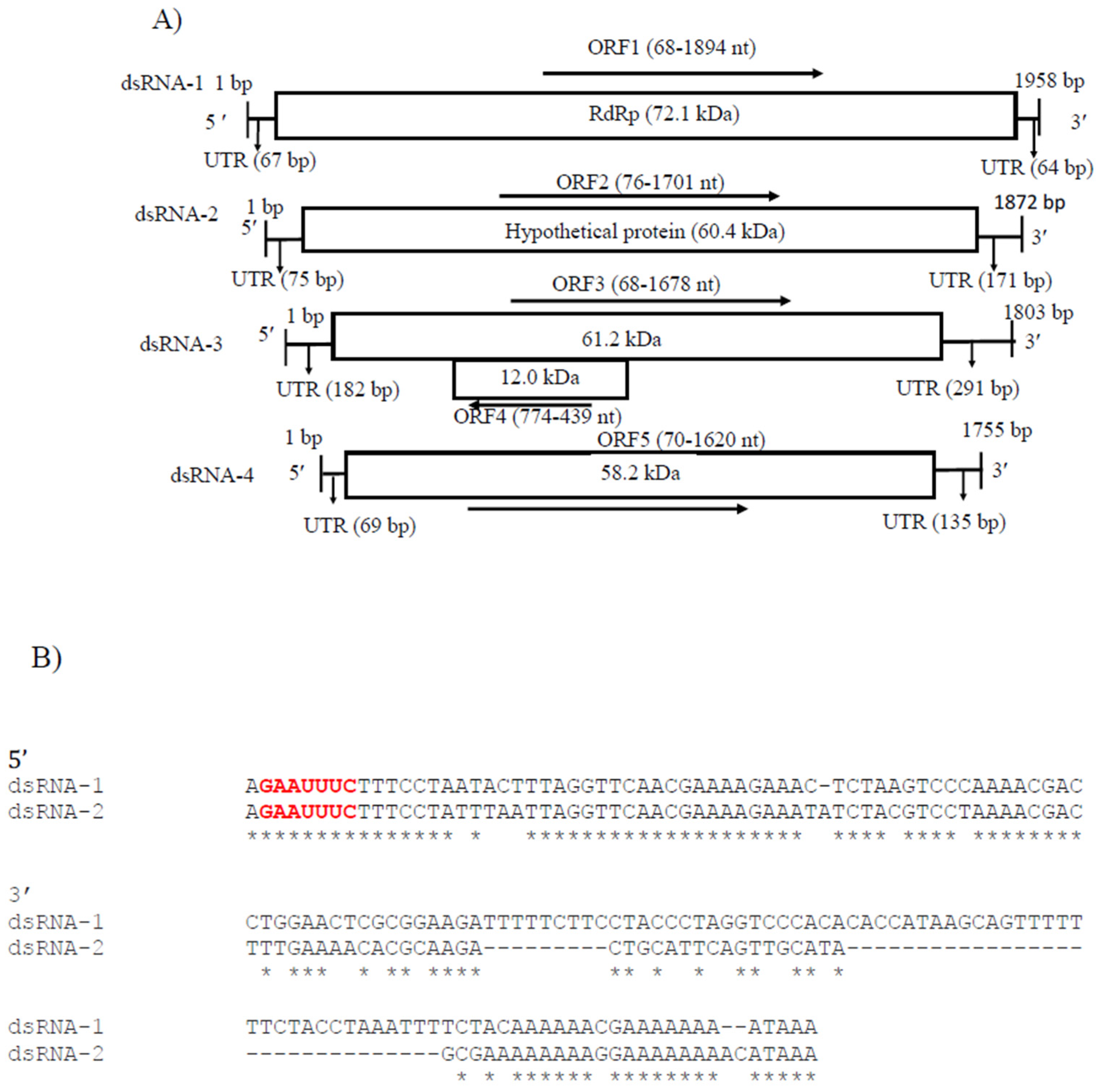Viruses 14 02572 g004a