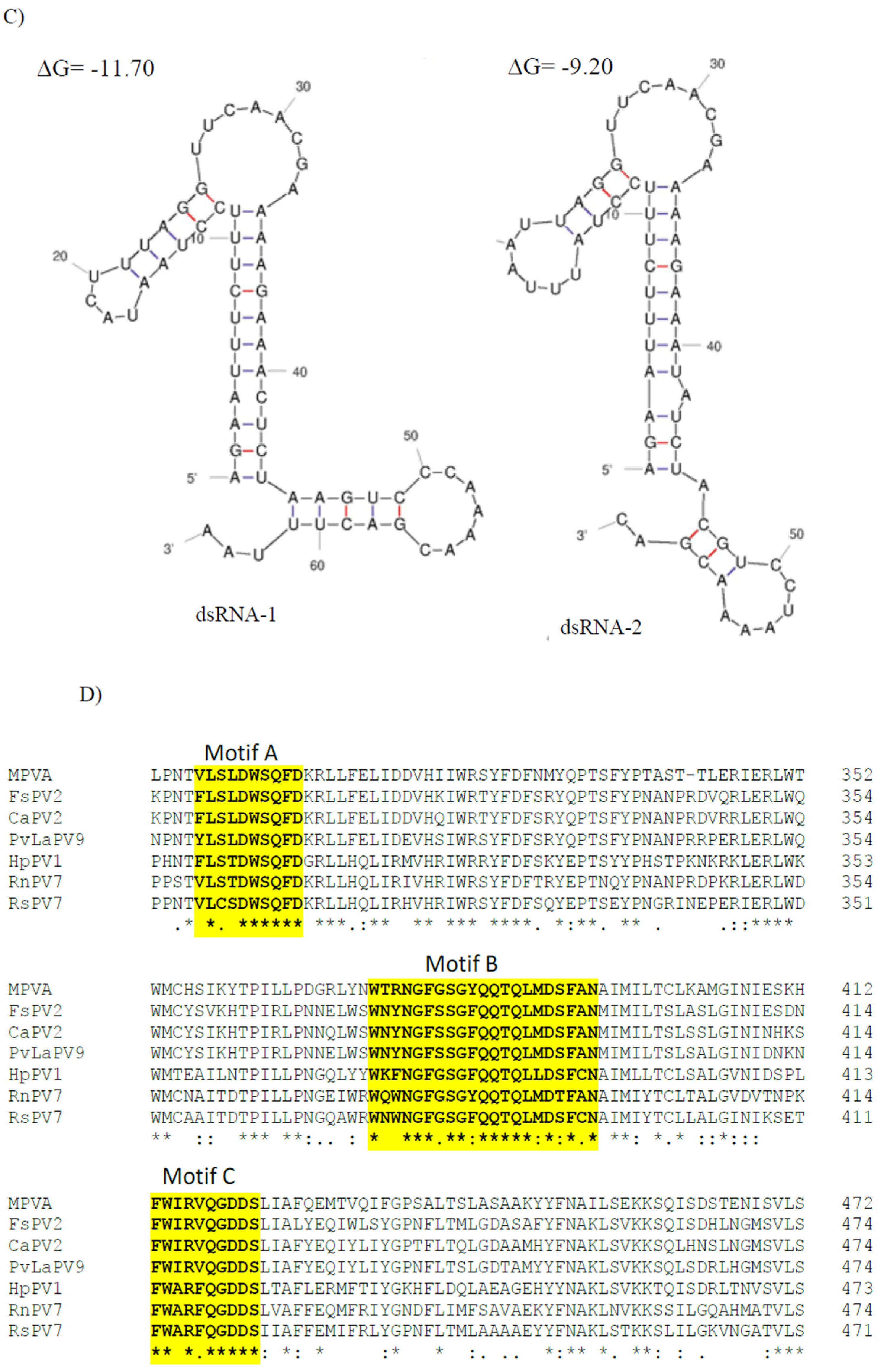 Viruses 14 02572 g004b