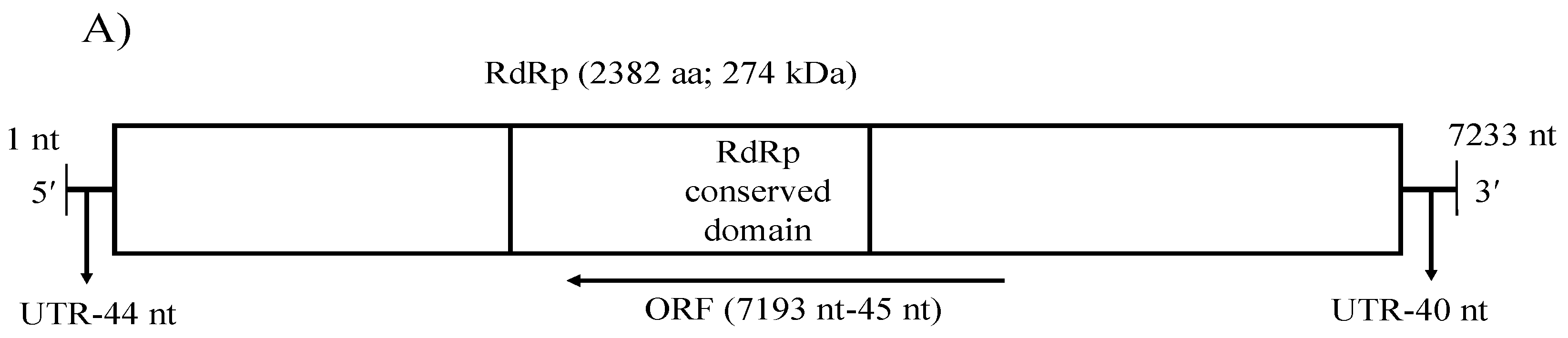 Viruses 14 02572 g005a