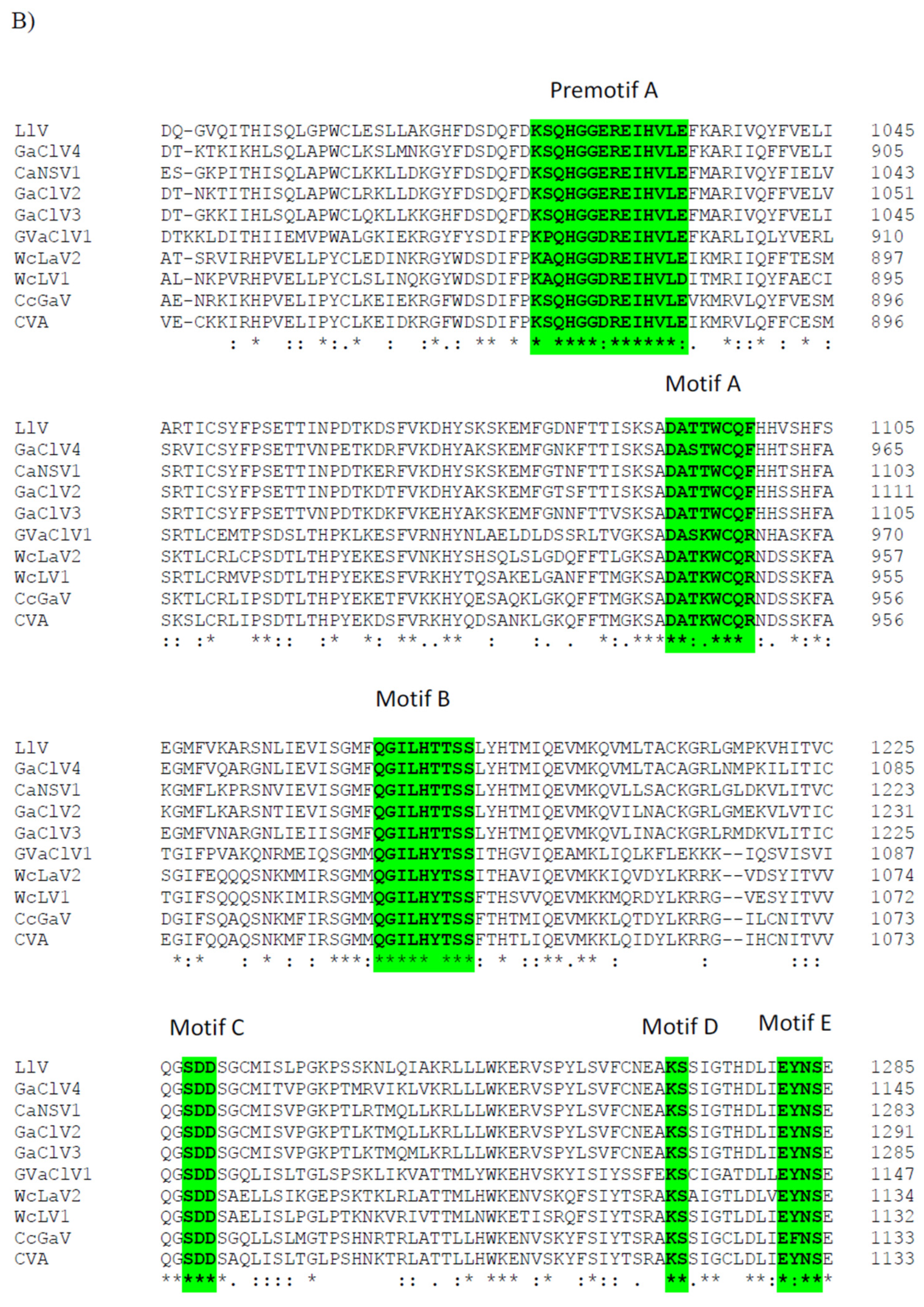 Viruses 14 02572 g005b