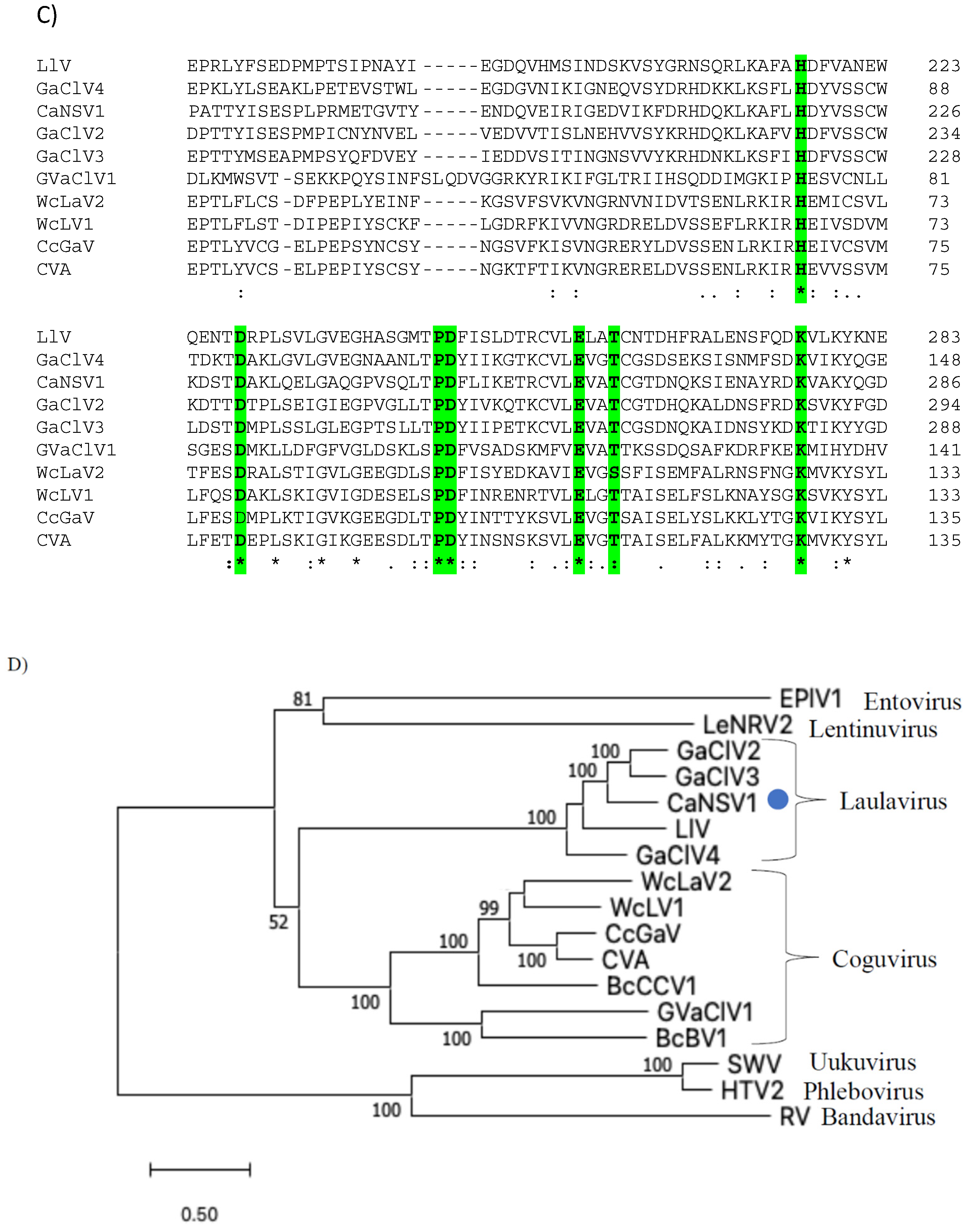 Viruses 14 02572 g005c