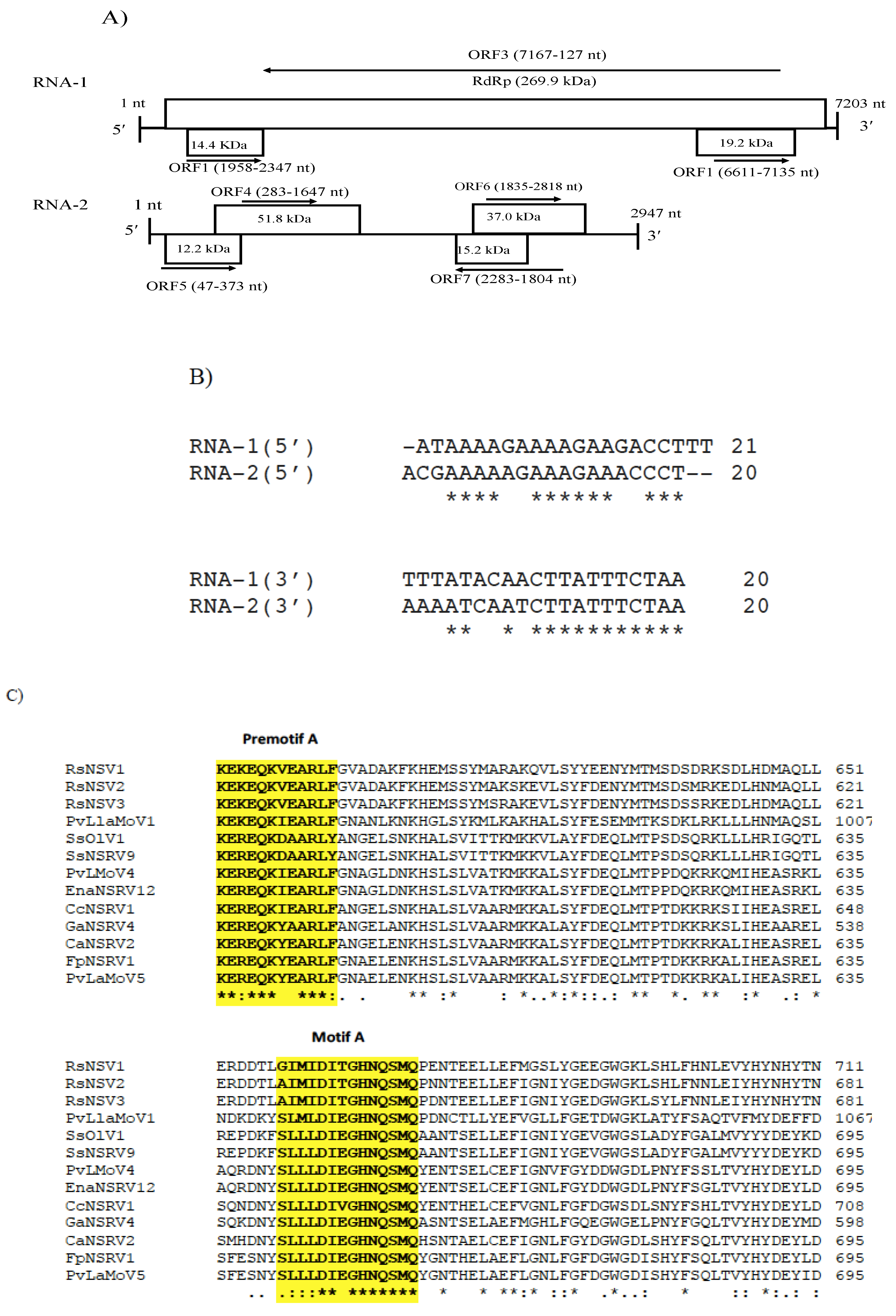 Viruses 14 02572 g006a