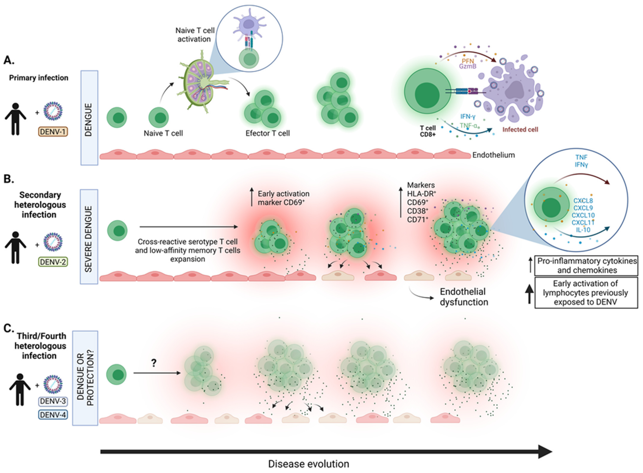 Viruses 14 02575 g001 Viruses 14 02575 g001