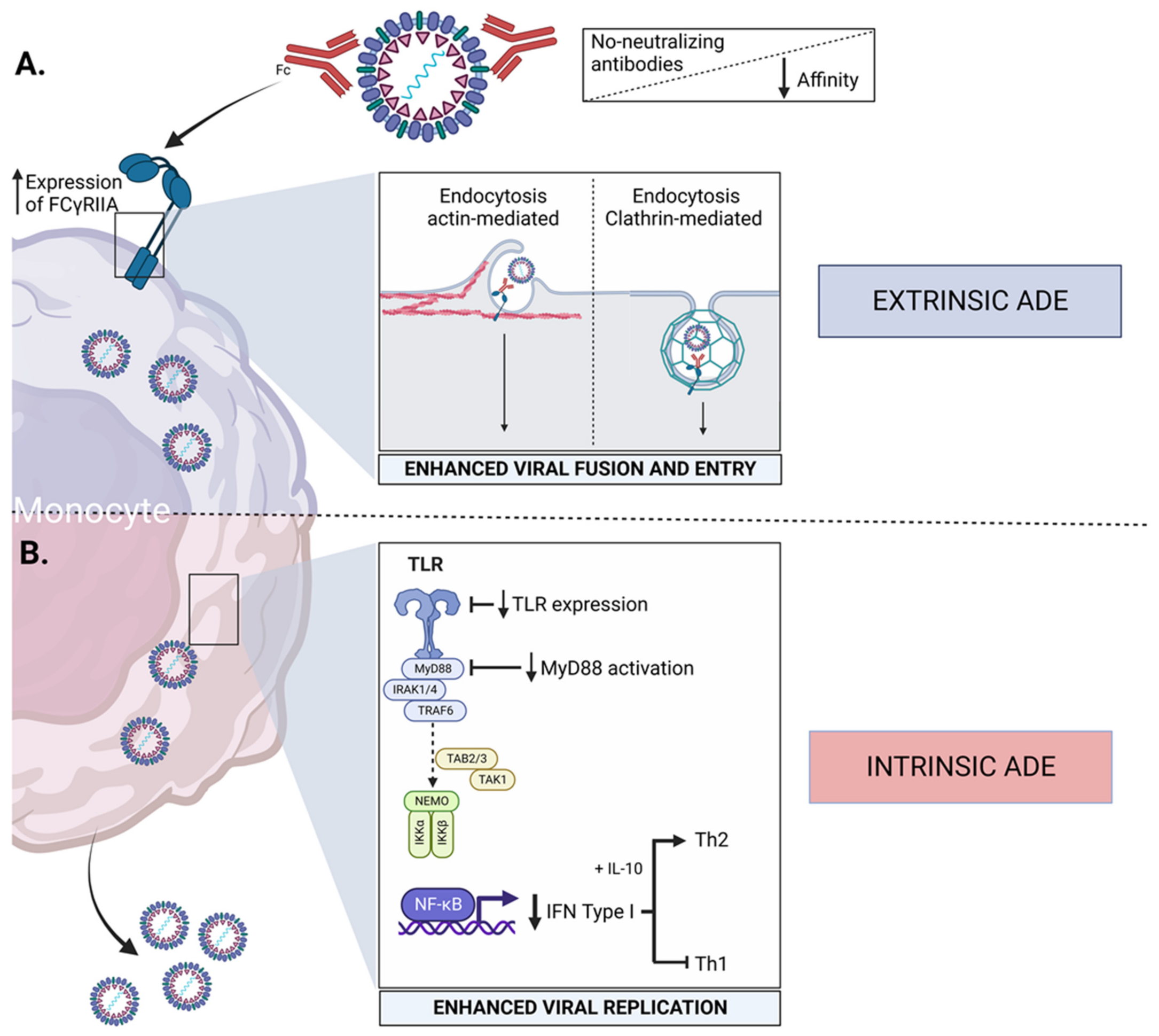 Viruses 14 02575 g002 Viruses 14 02575 g002