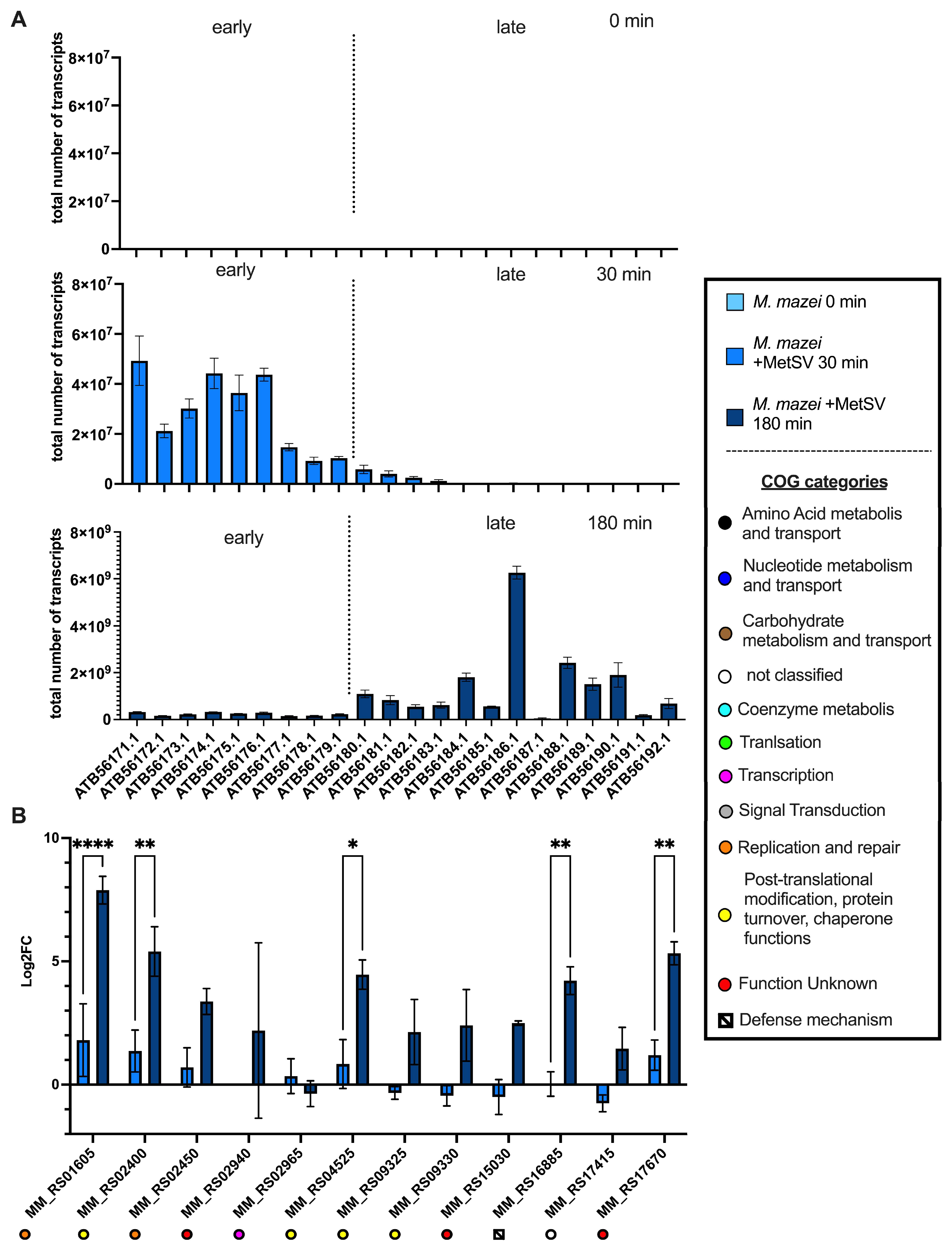 Viruses 14 02585 g005