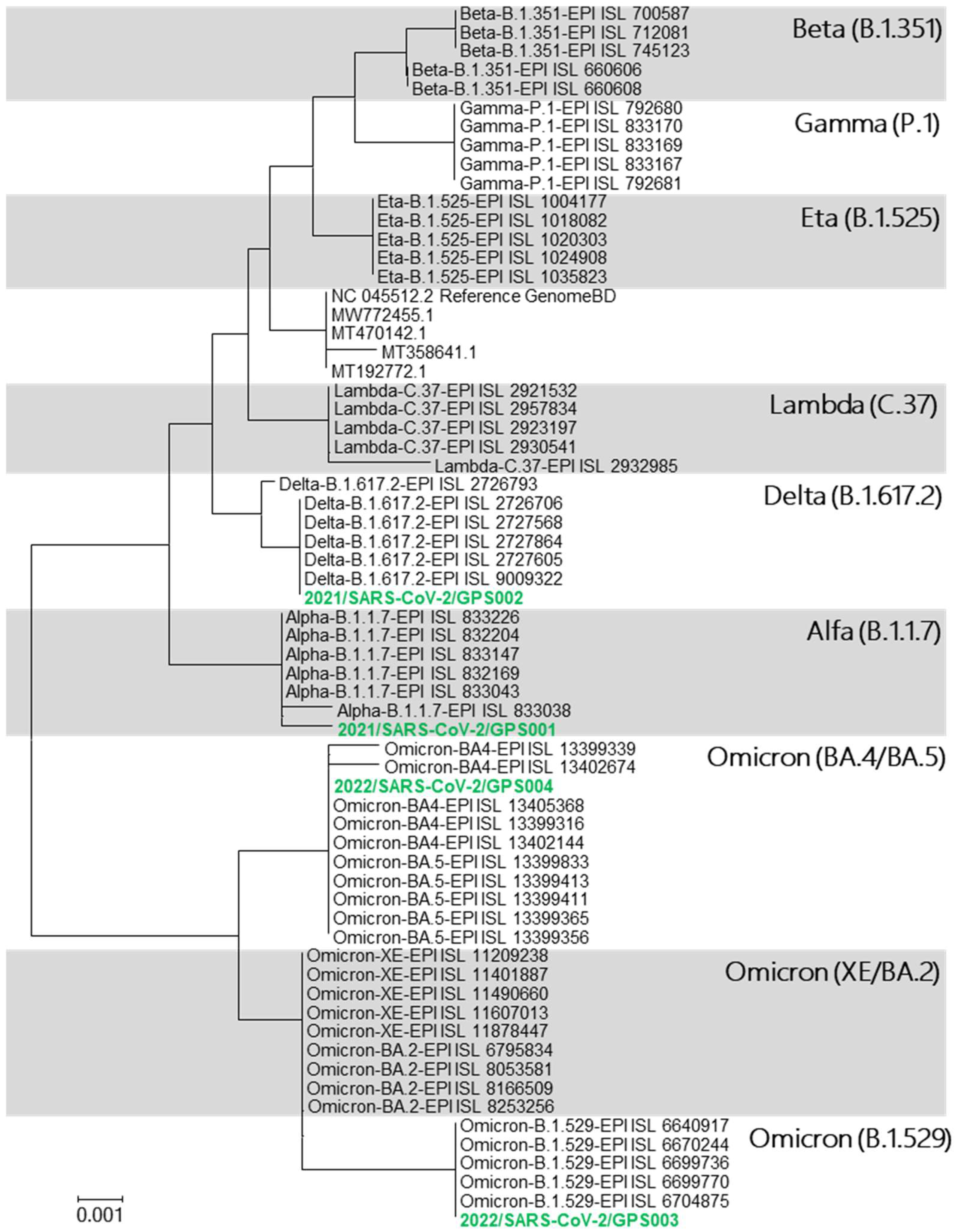 Viruses 14 02588 g001 Viruses 14 02588 g001