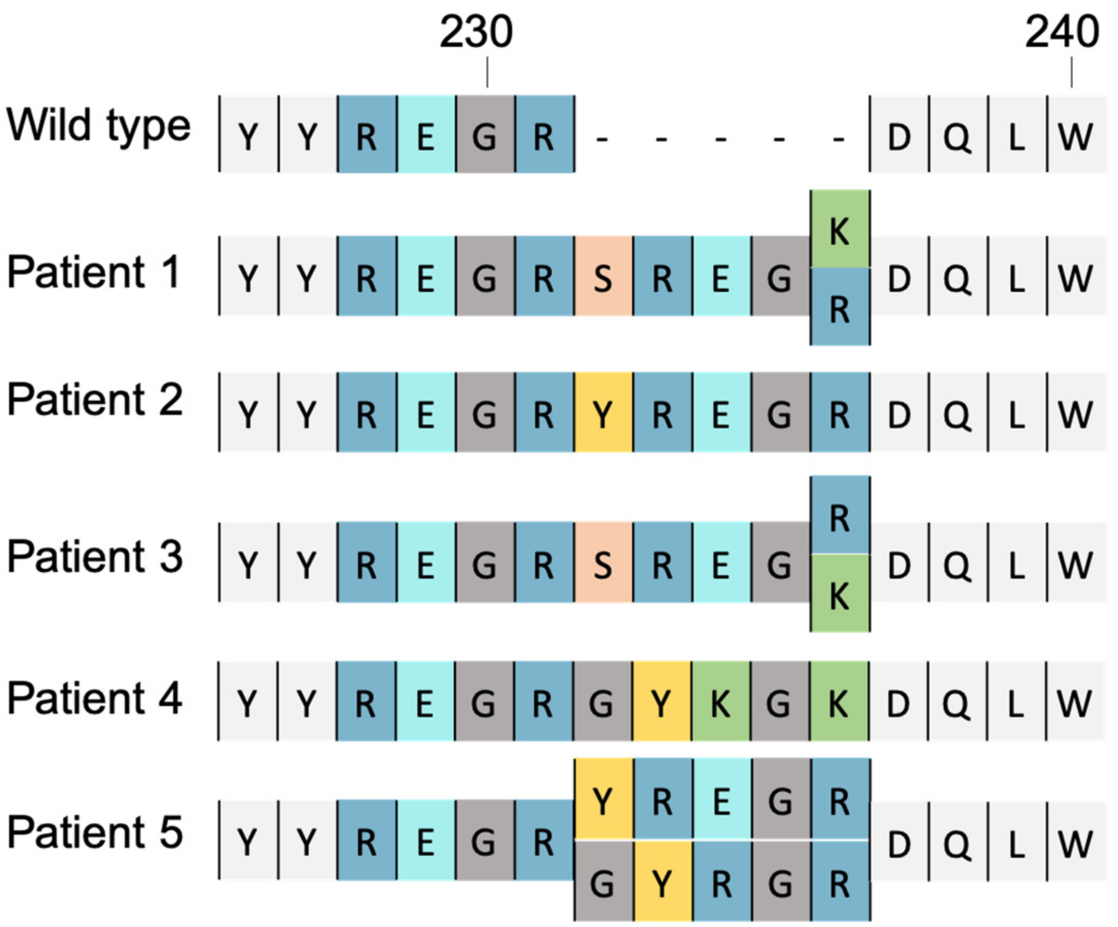 Viruses 14 02591 g004 Viruses 14 02591 g004