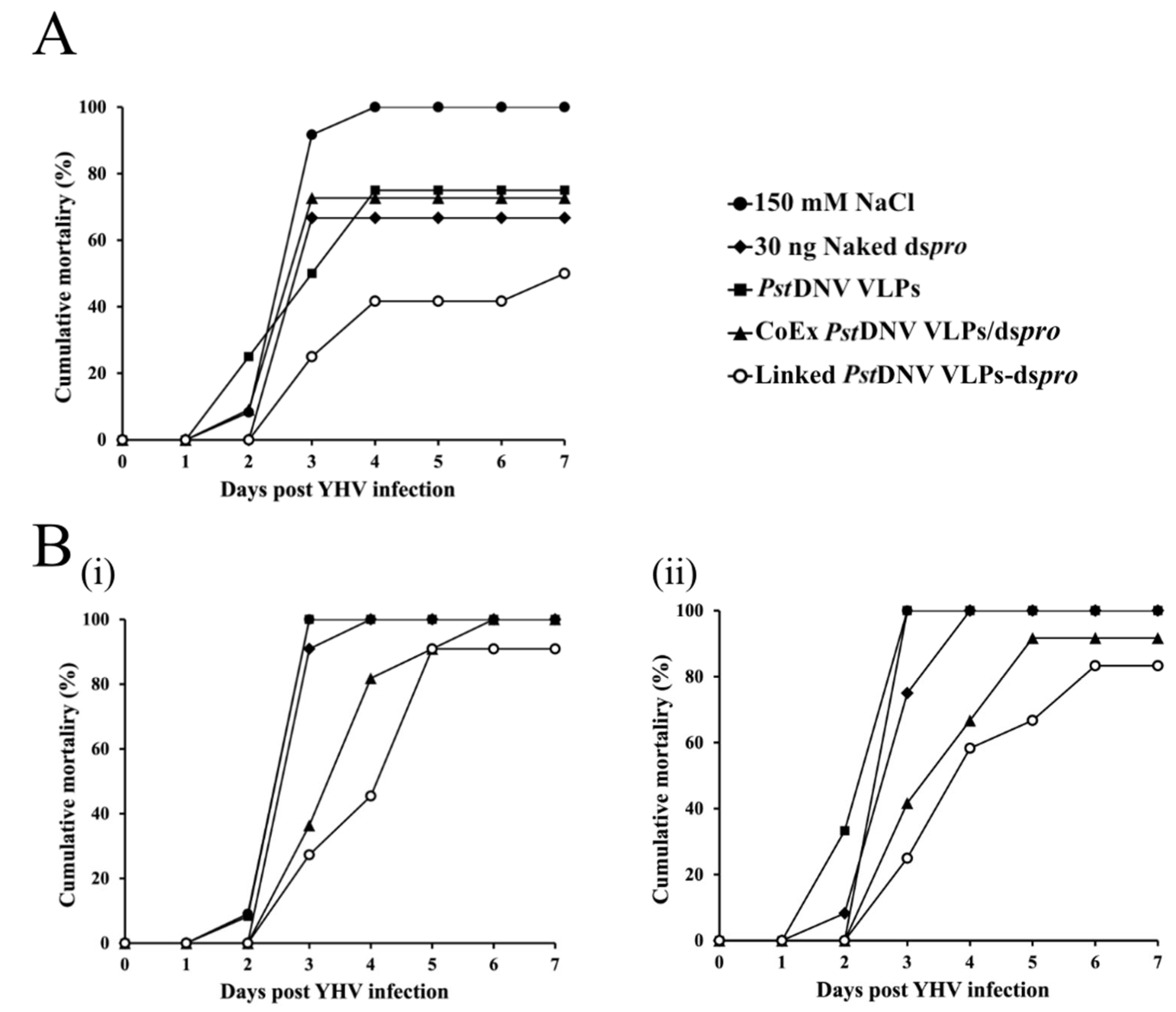 Viruses 14 02594 g004