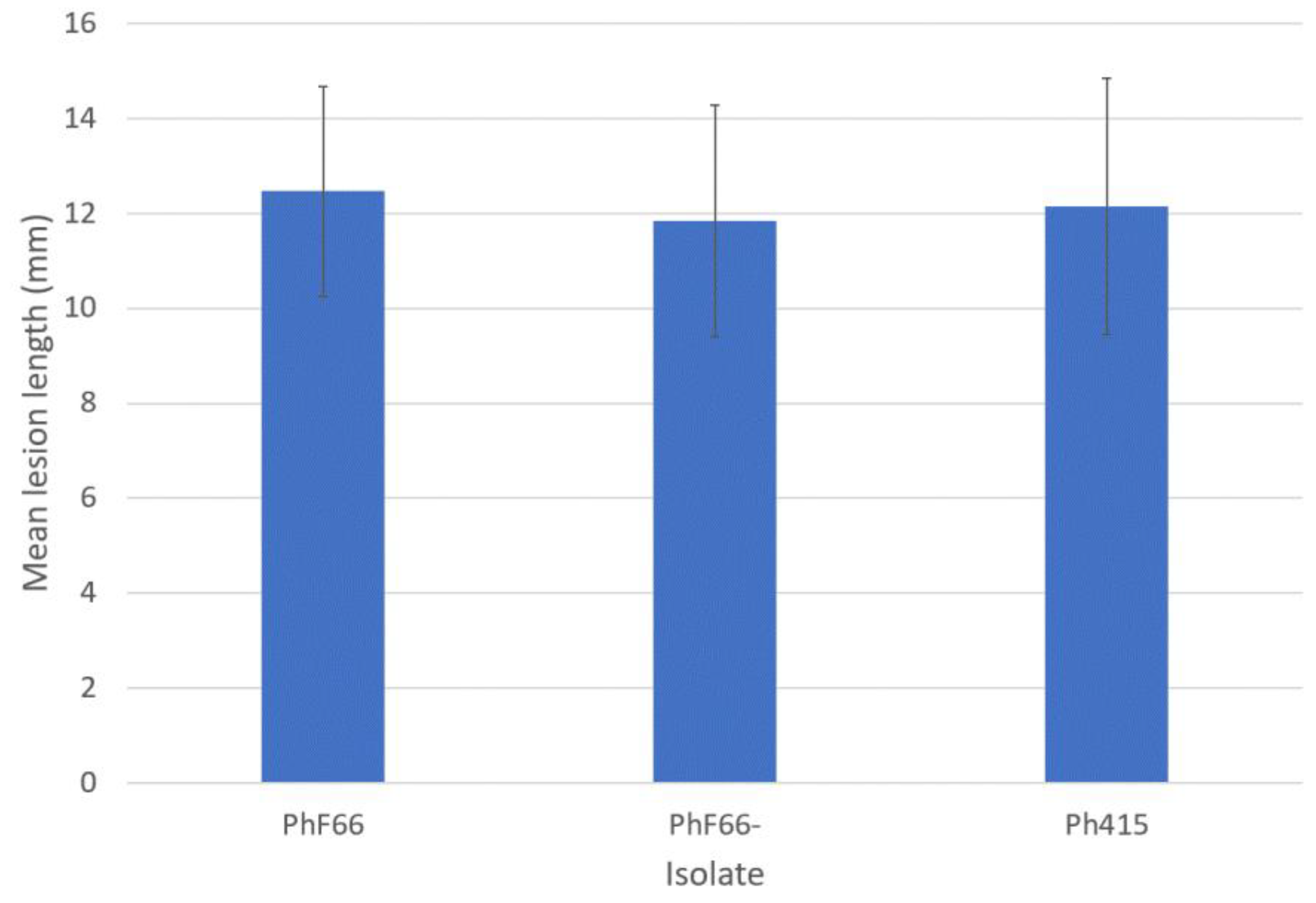 Viruses 14 02596 g003 Viruses 14 02596 g003