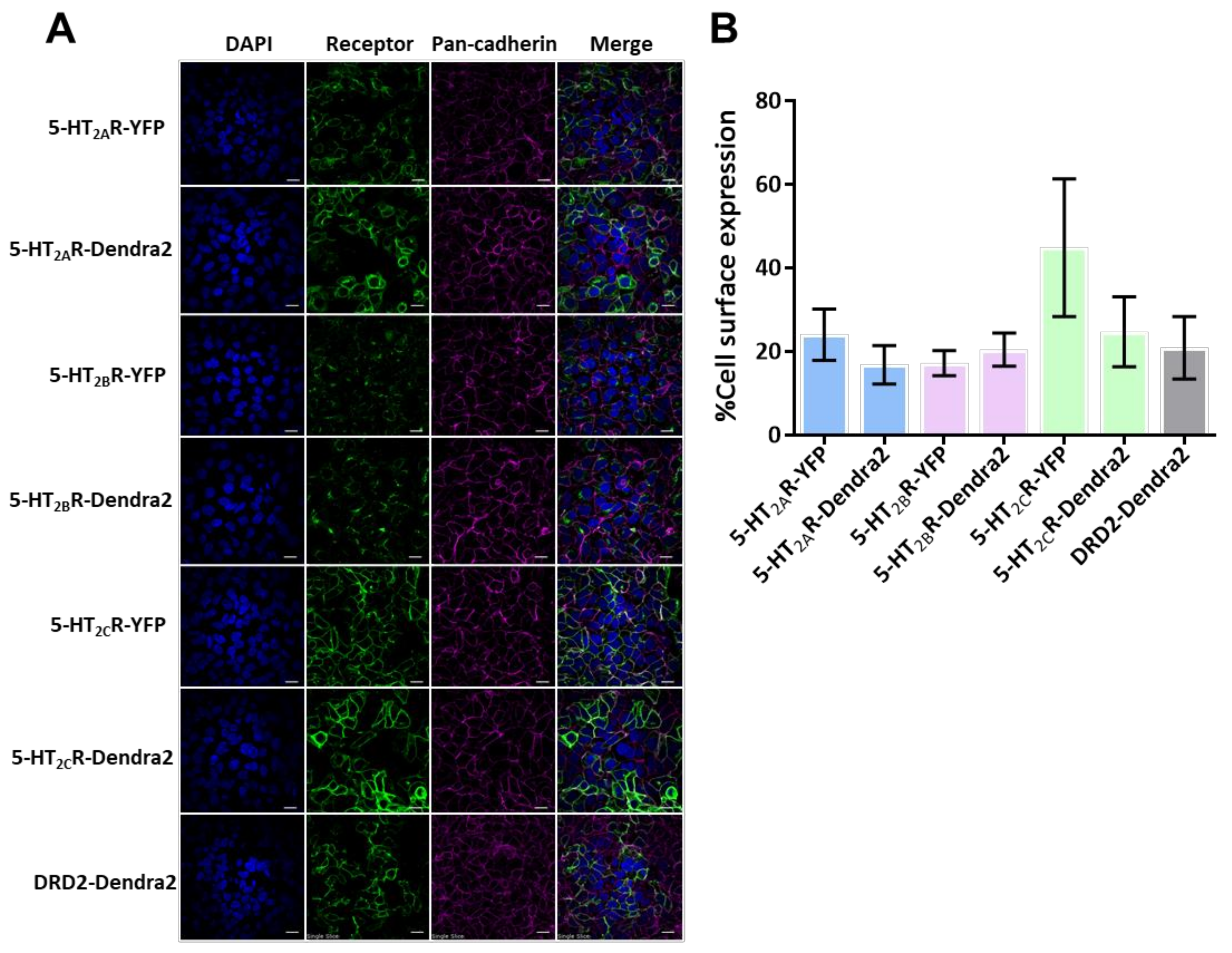 Viruses 14 02597 g001