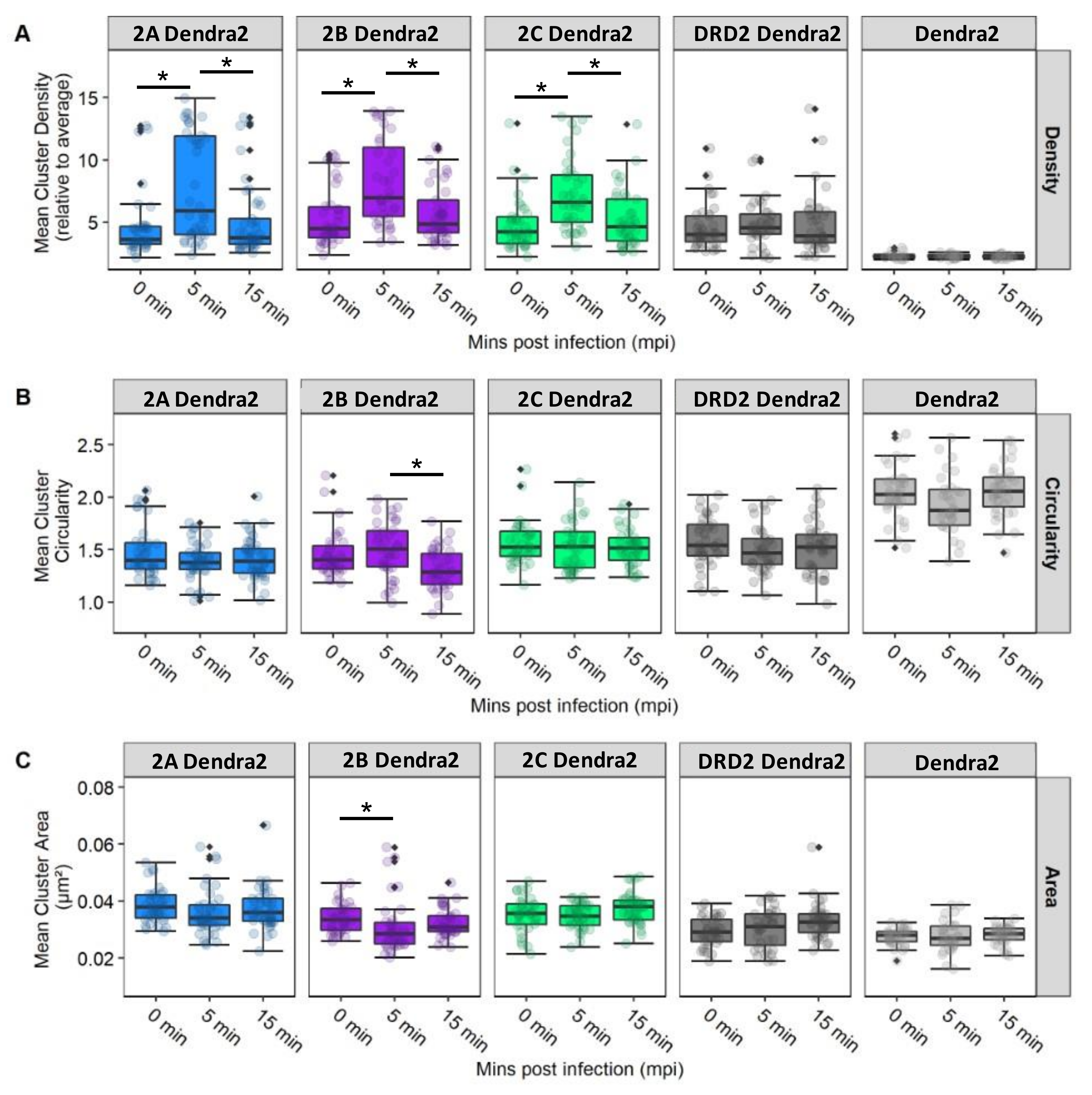 Viruses 14 02597 g006
