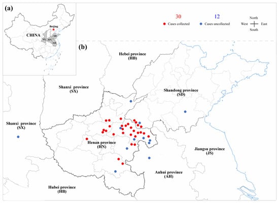 Viruses 14 02599 g001