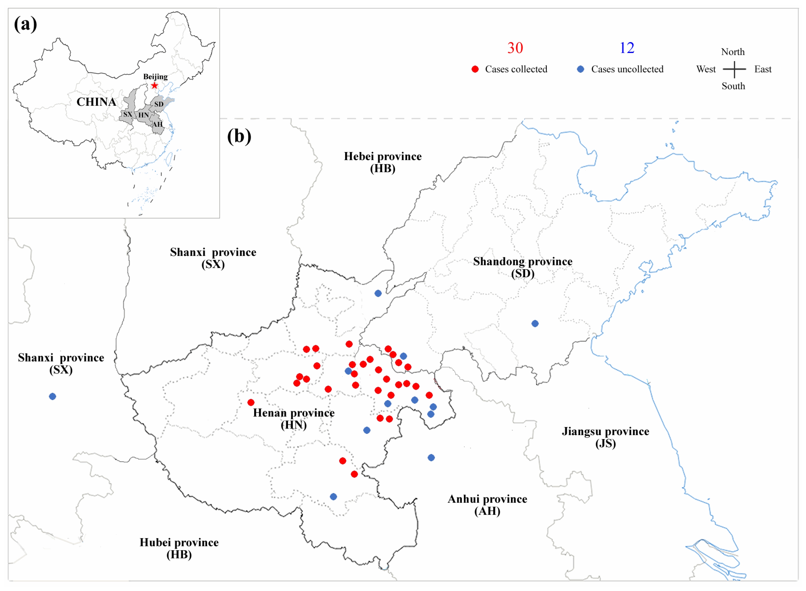 Viruses 14 02599 g001