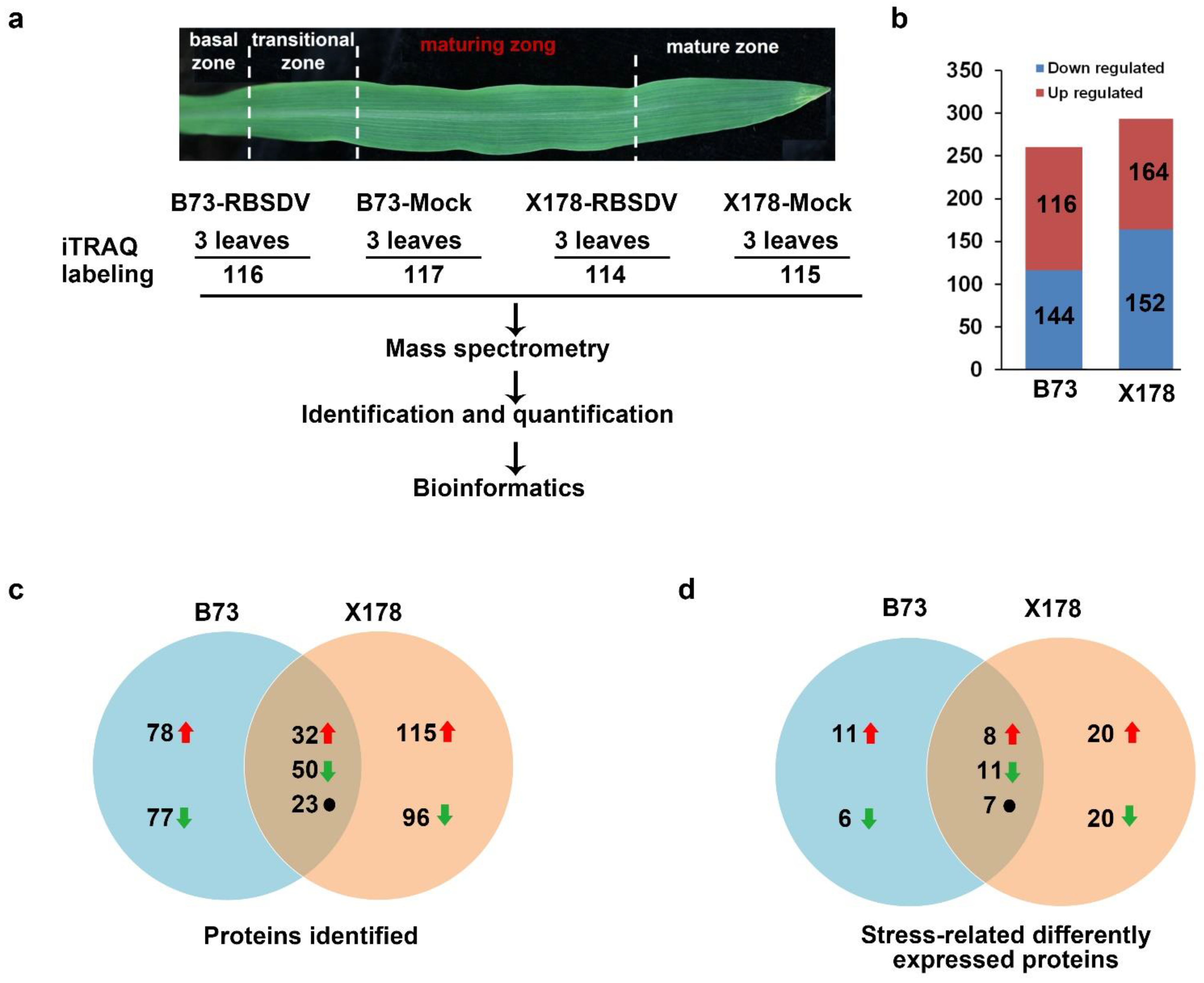 Viruses 14 02604 g003