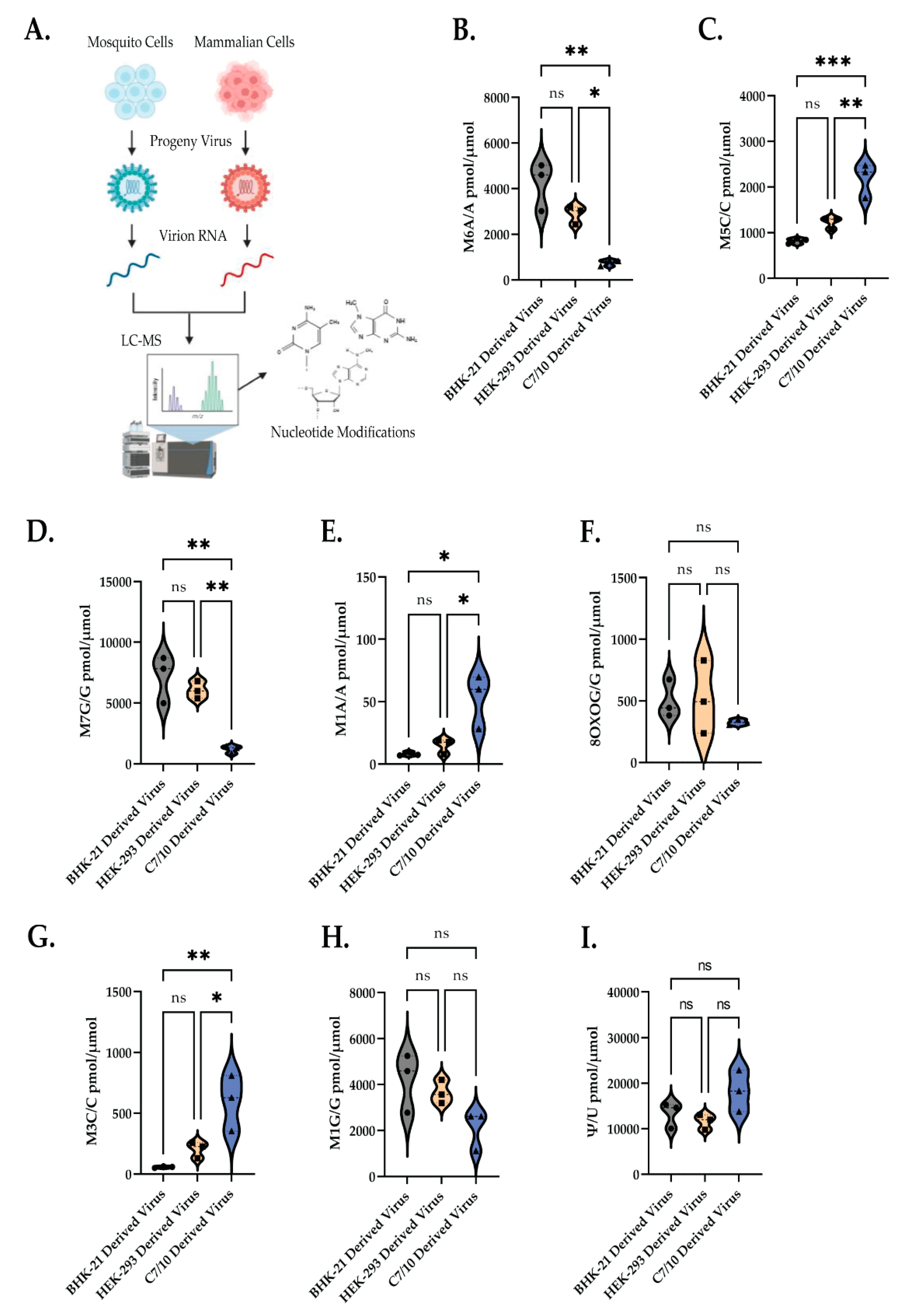Viruses 14 02606 g004