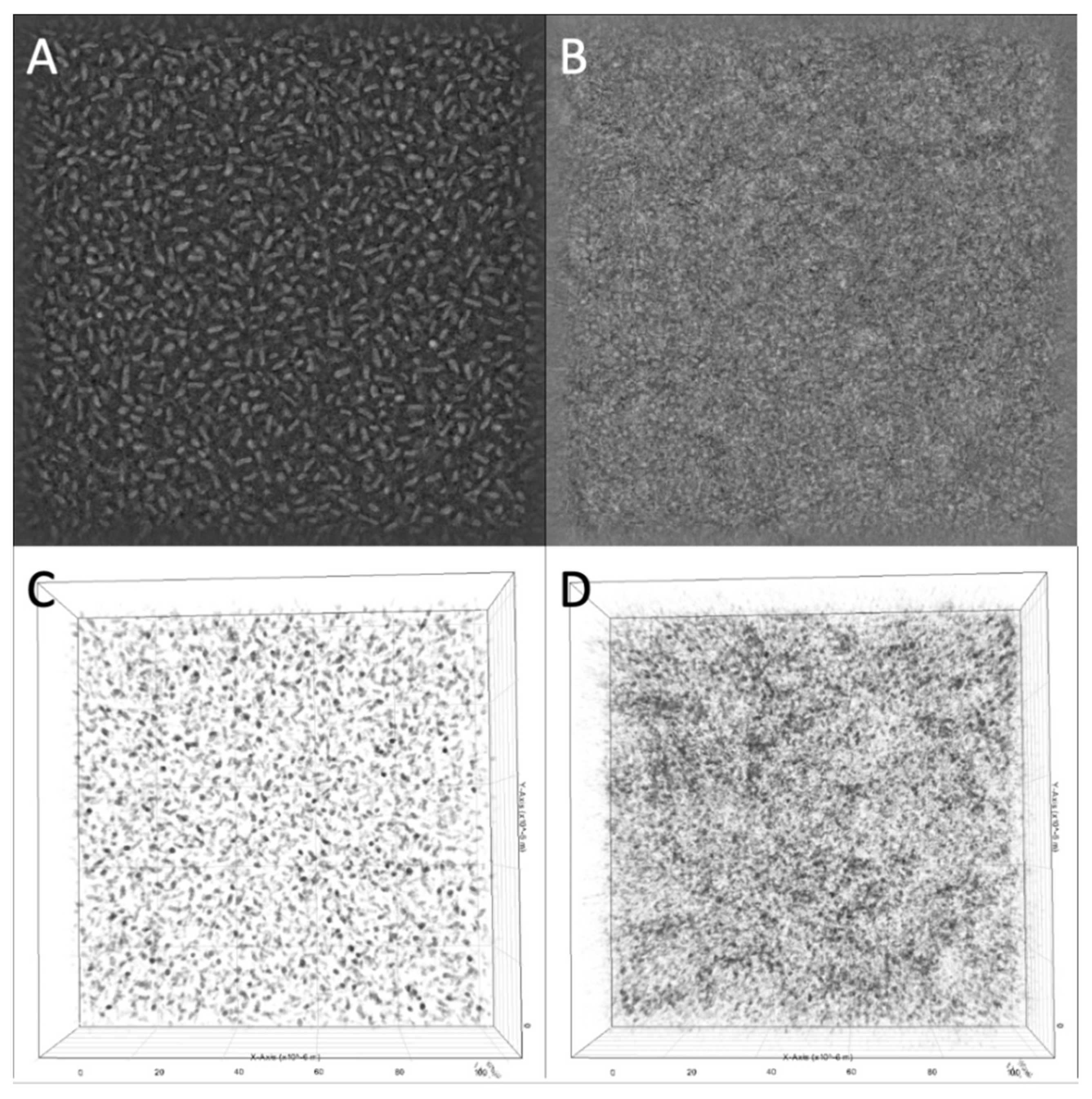 Viruses 14 02614 g001 Viruses 14 02614 g001