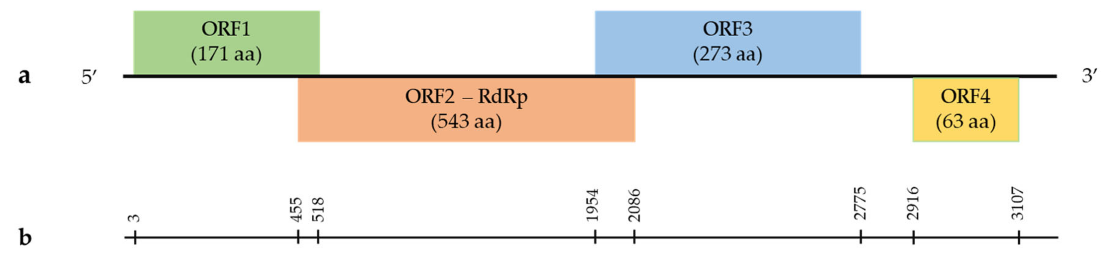 Viruses 14 02623 g001 Viruses 14 02623 g001