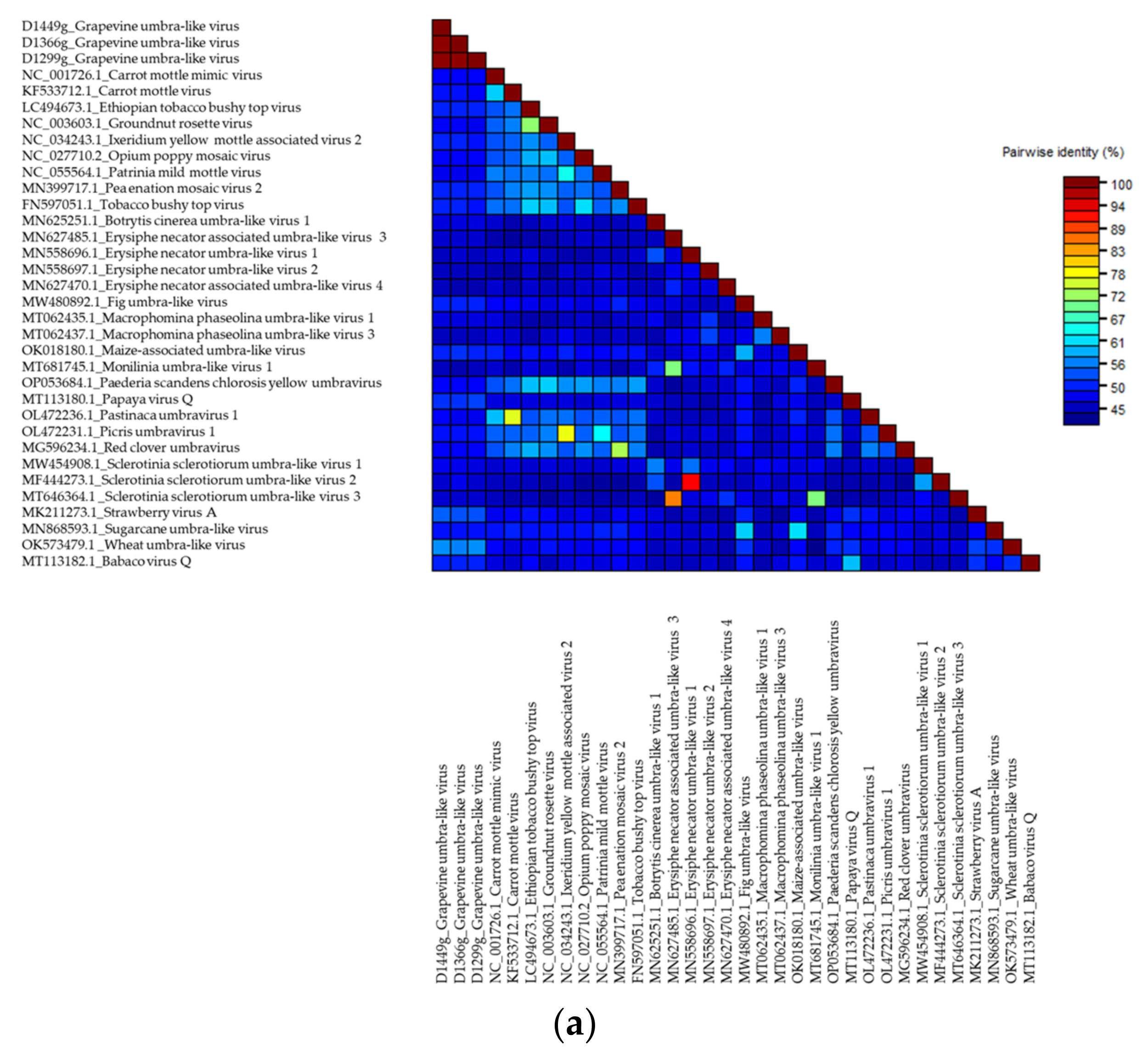 Viruses 14 02623 g002a Viruses 14 02623 g002a