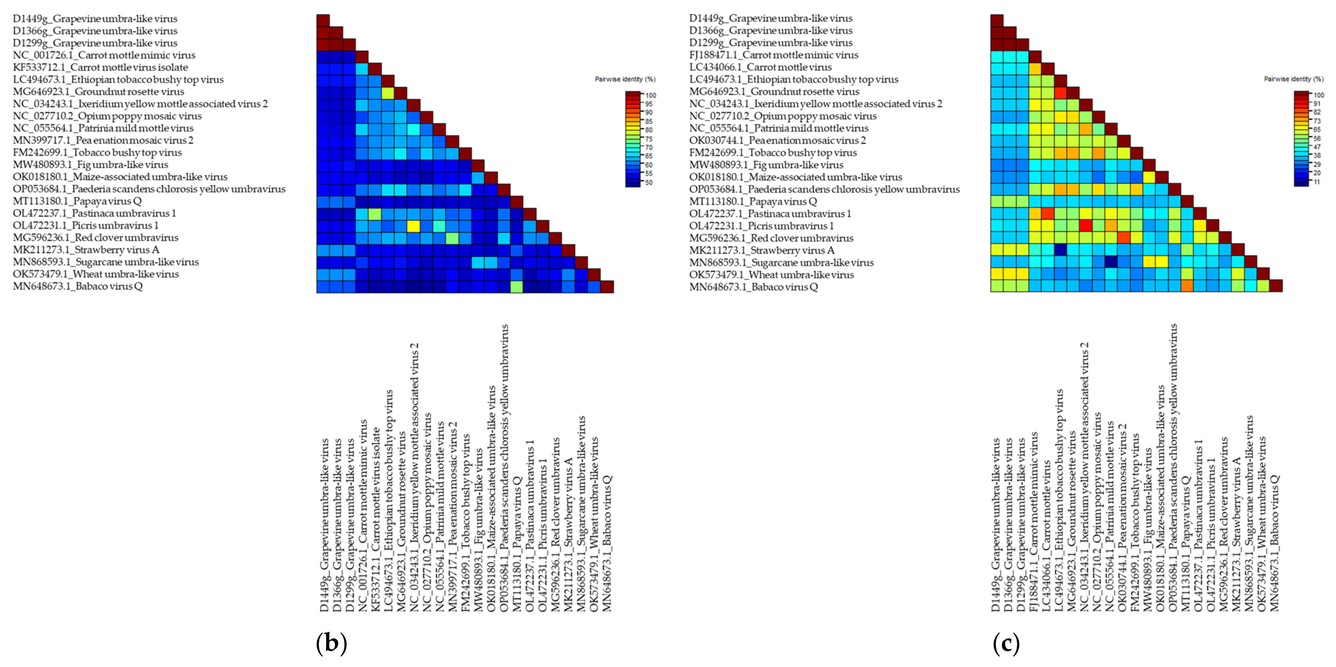 Viruses 14 02623 g002b Viruses 14 02623 g002b