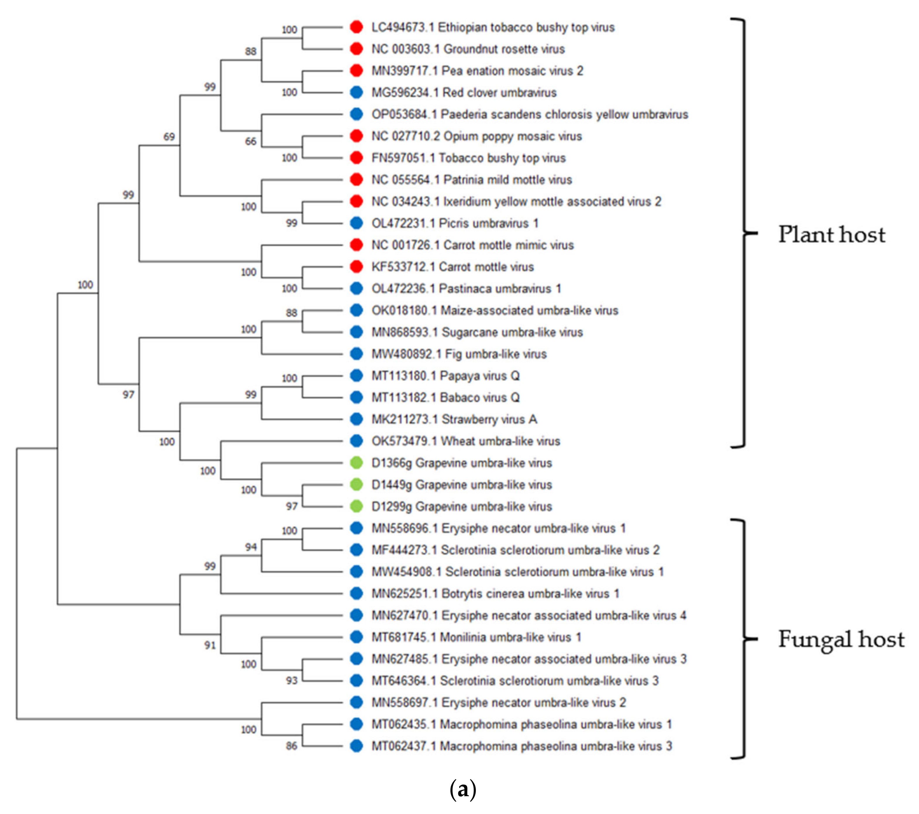 Viruses 14 02623 g003a Viruses 14 02623 g003a