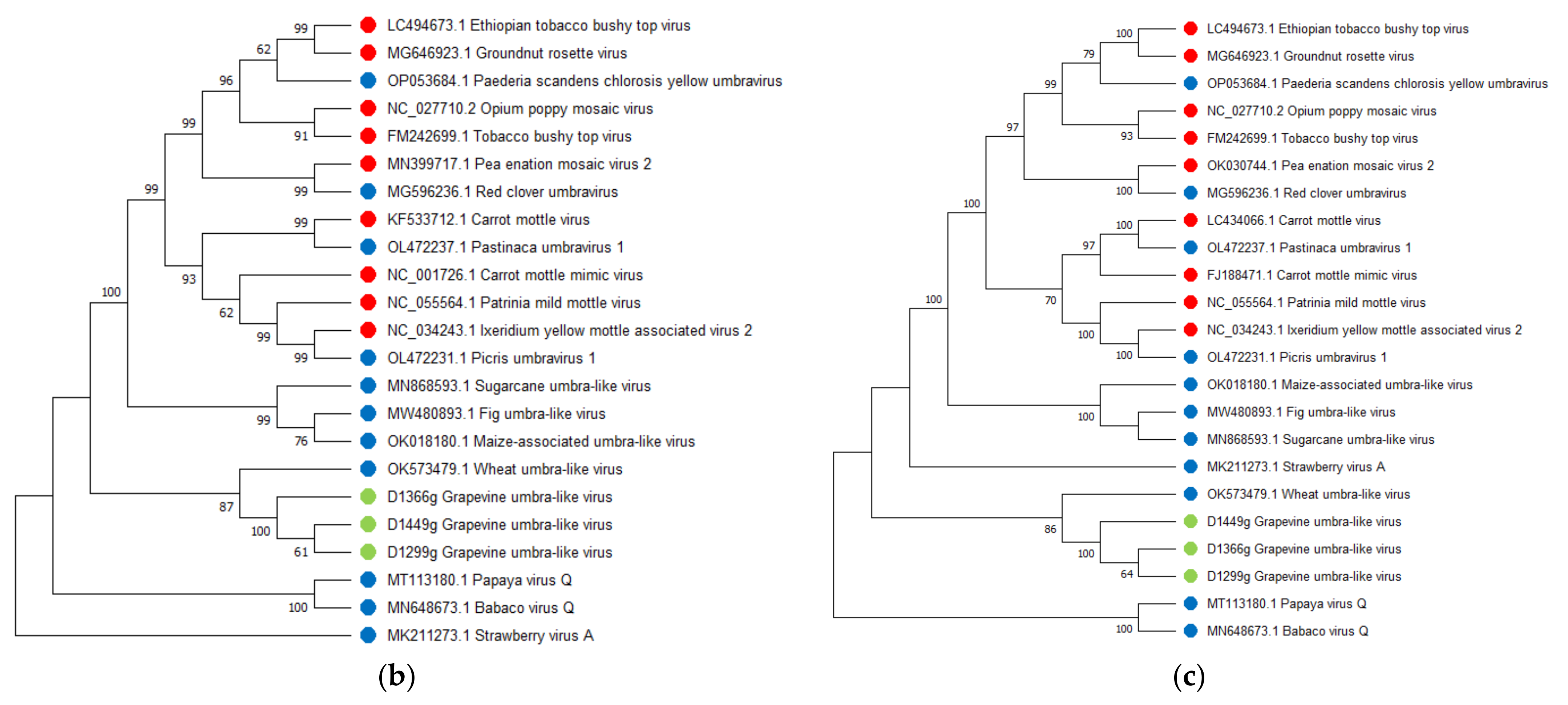 Viruses 14 02623 g003b Viruses 14 02623 g003b