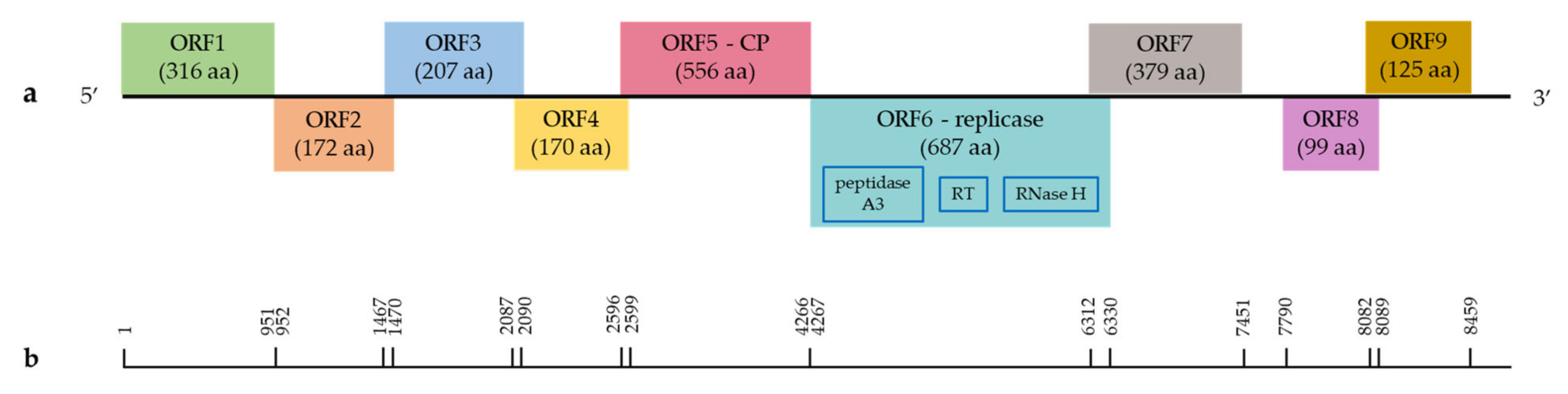 Viruses 14 02623 g005 Viruses 14 02623 g005