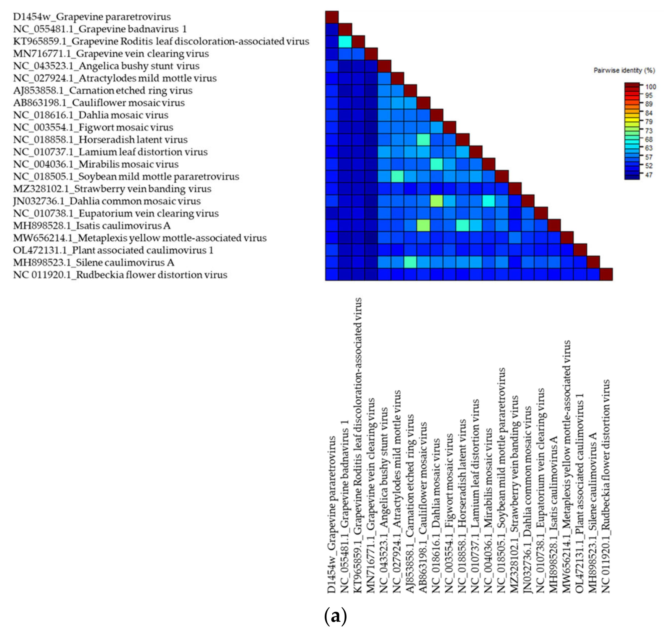 Viruses 14 02623 g006a Viruses 14 02623 g006a