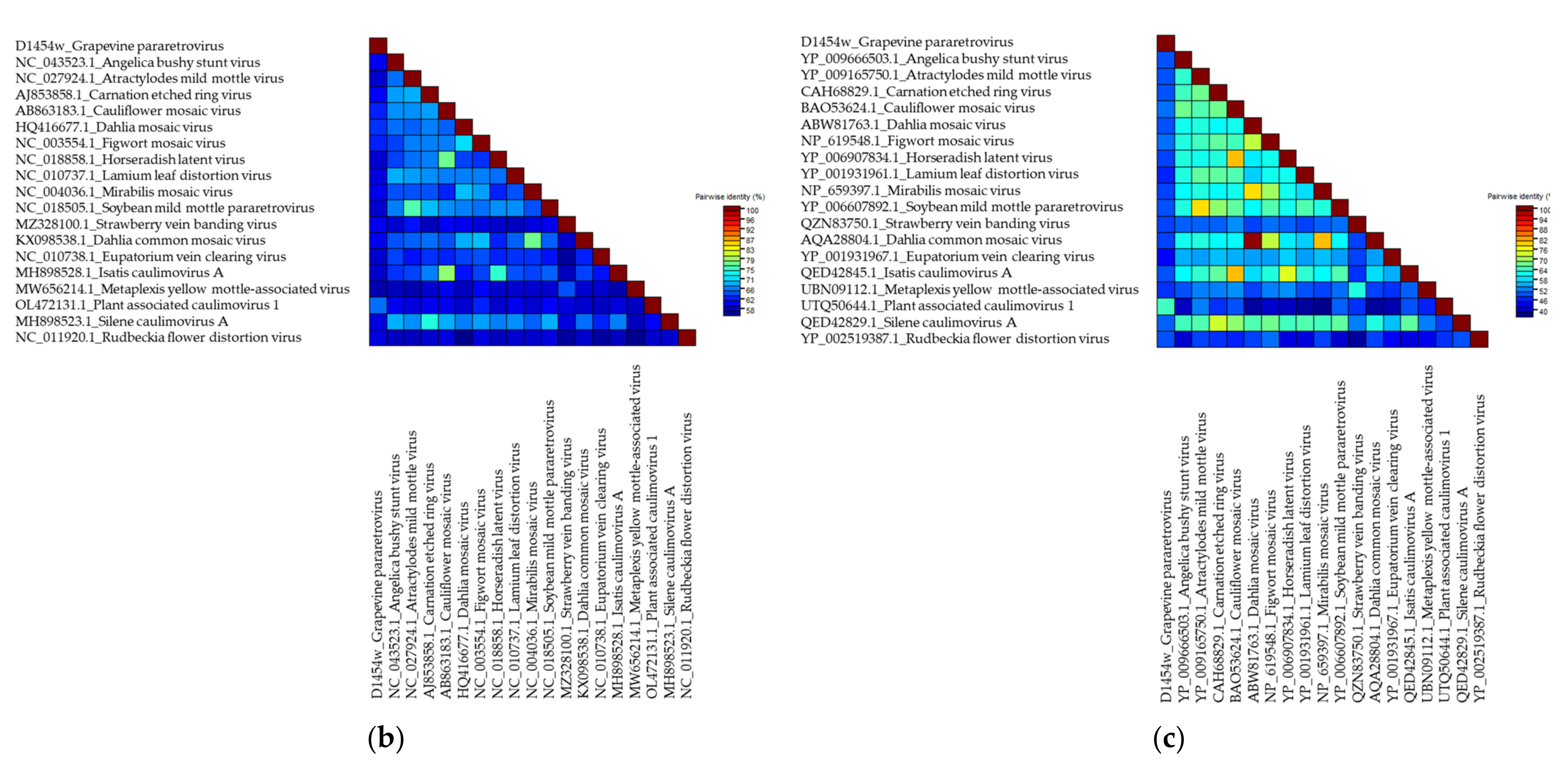 Viruses 14 02623 g006b Viruses 14 02623 g006b