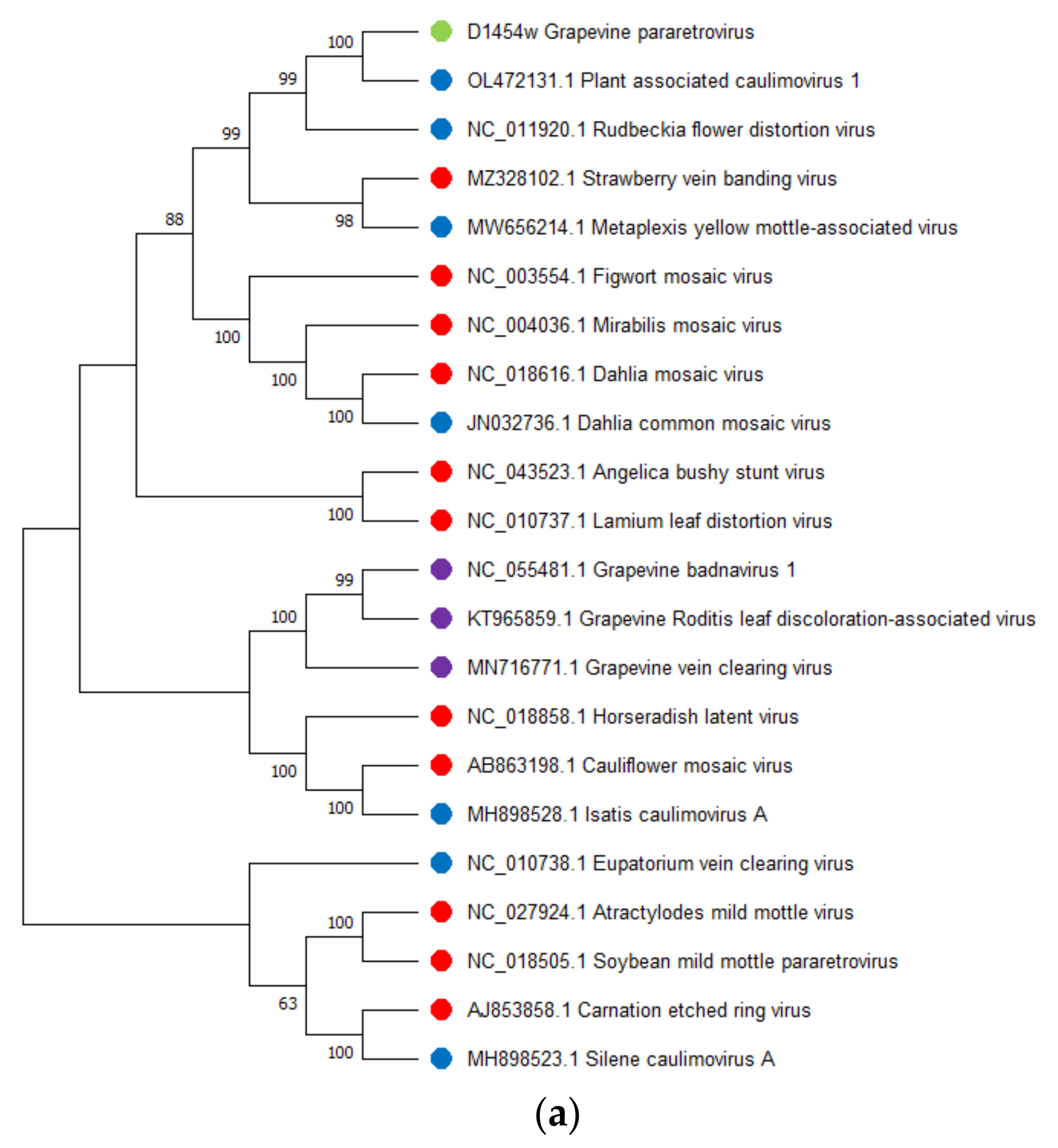 Viruses 14 02623 g007a Viruses 14 02623 g007a