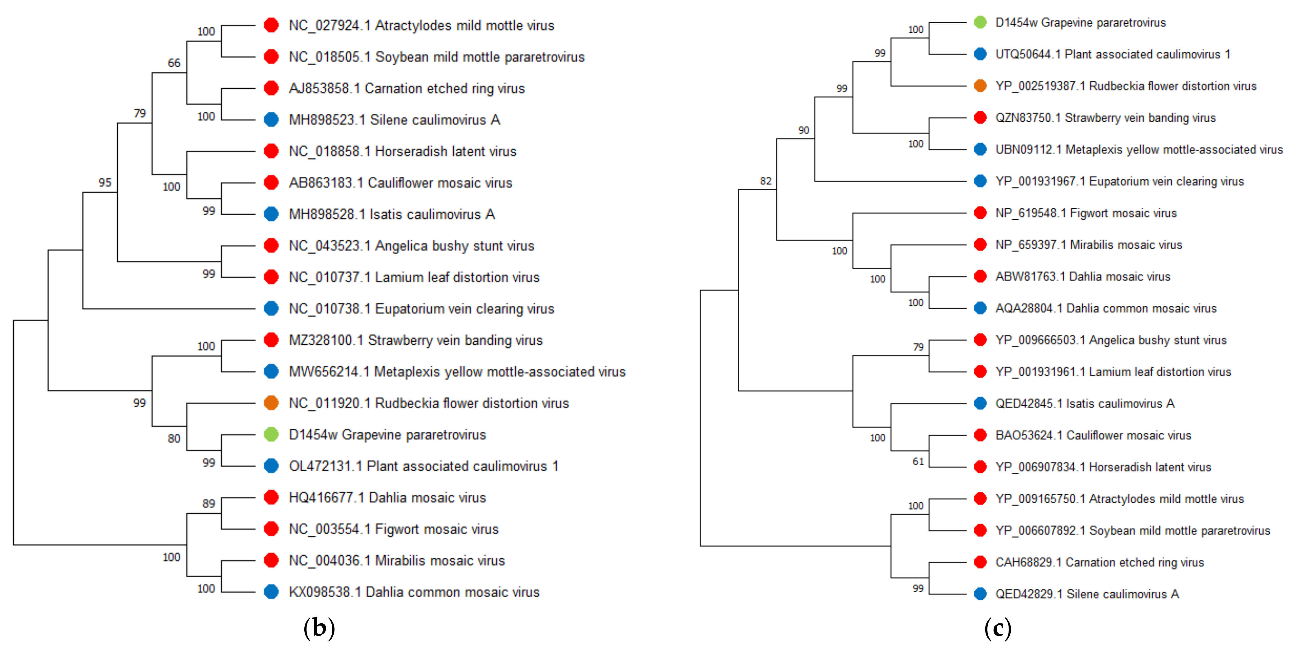Viruses 14 02623 g007b Viruses 14 02623 g007b