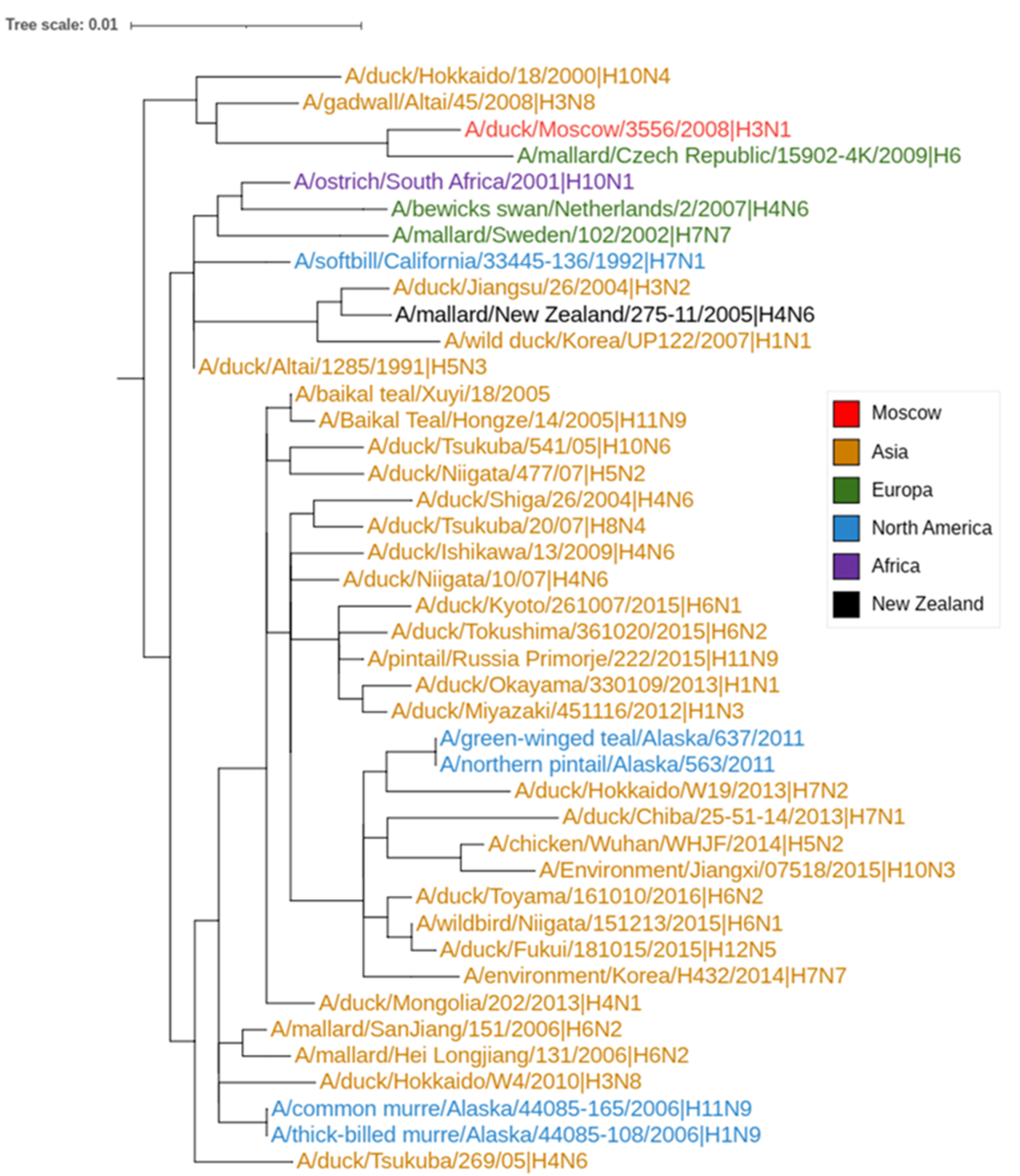 Viruses 14 02624 g001