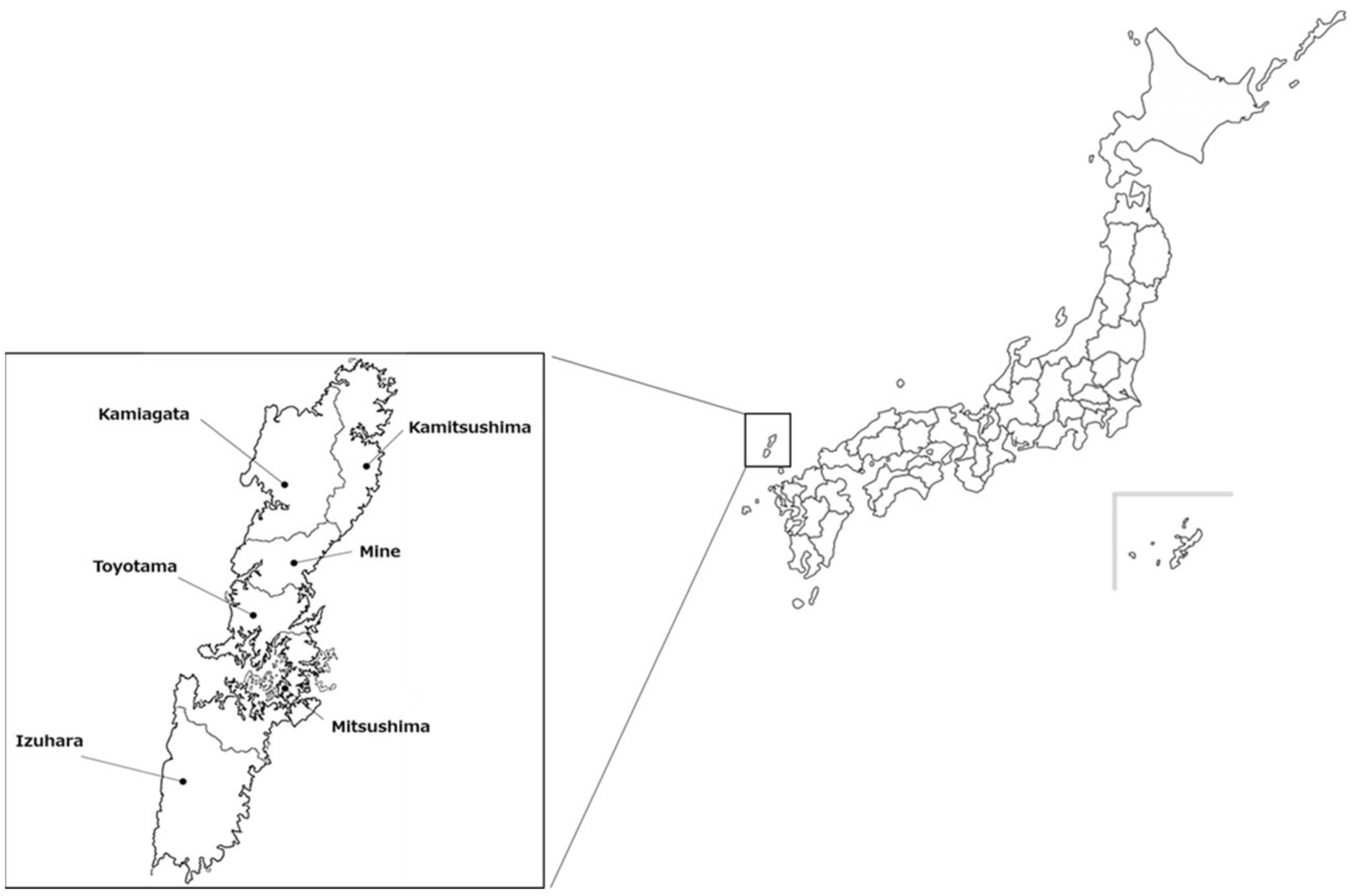 Viruses 14 02631 g001