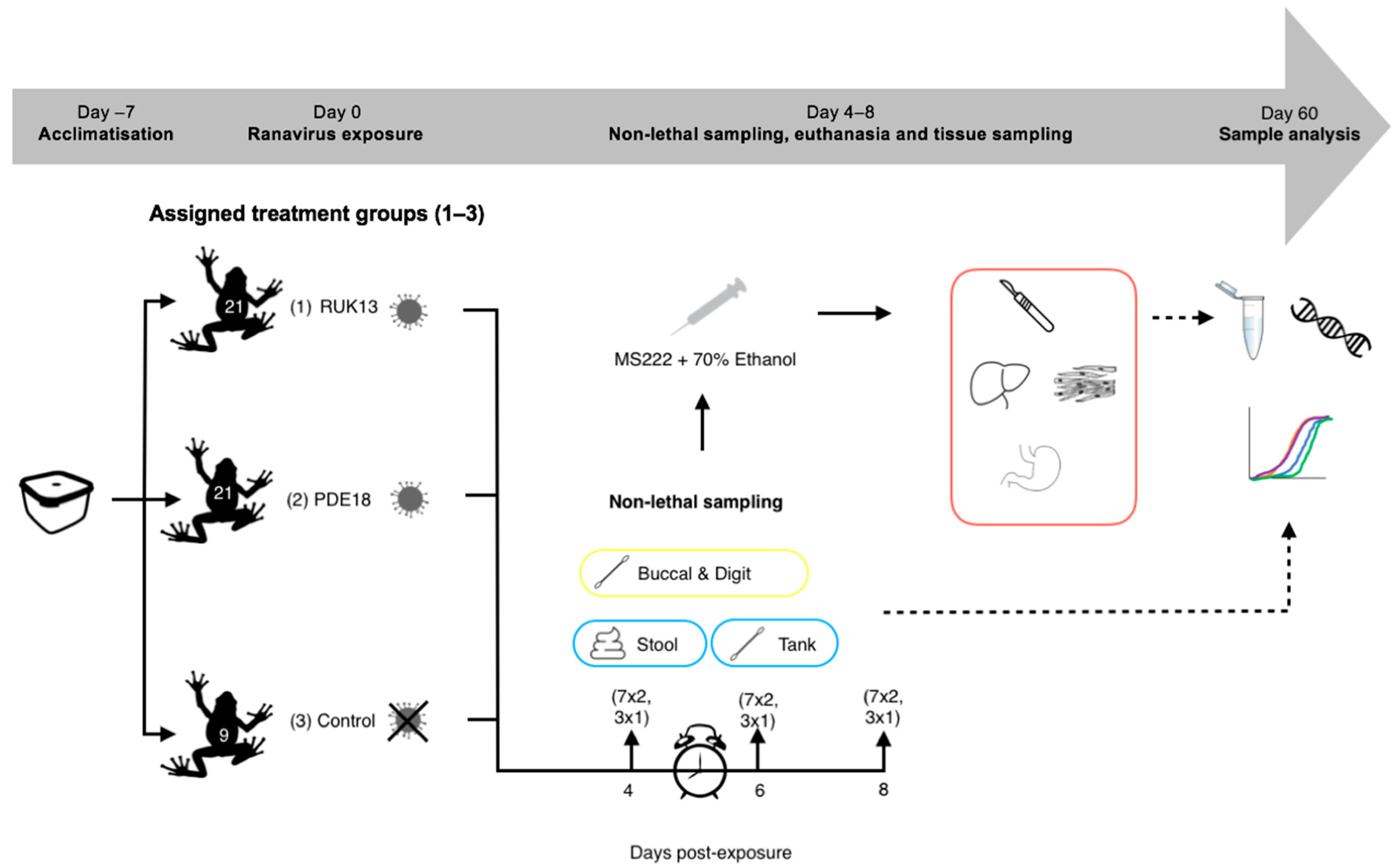 Viruses 14 02635 g003