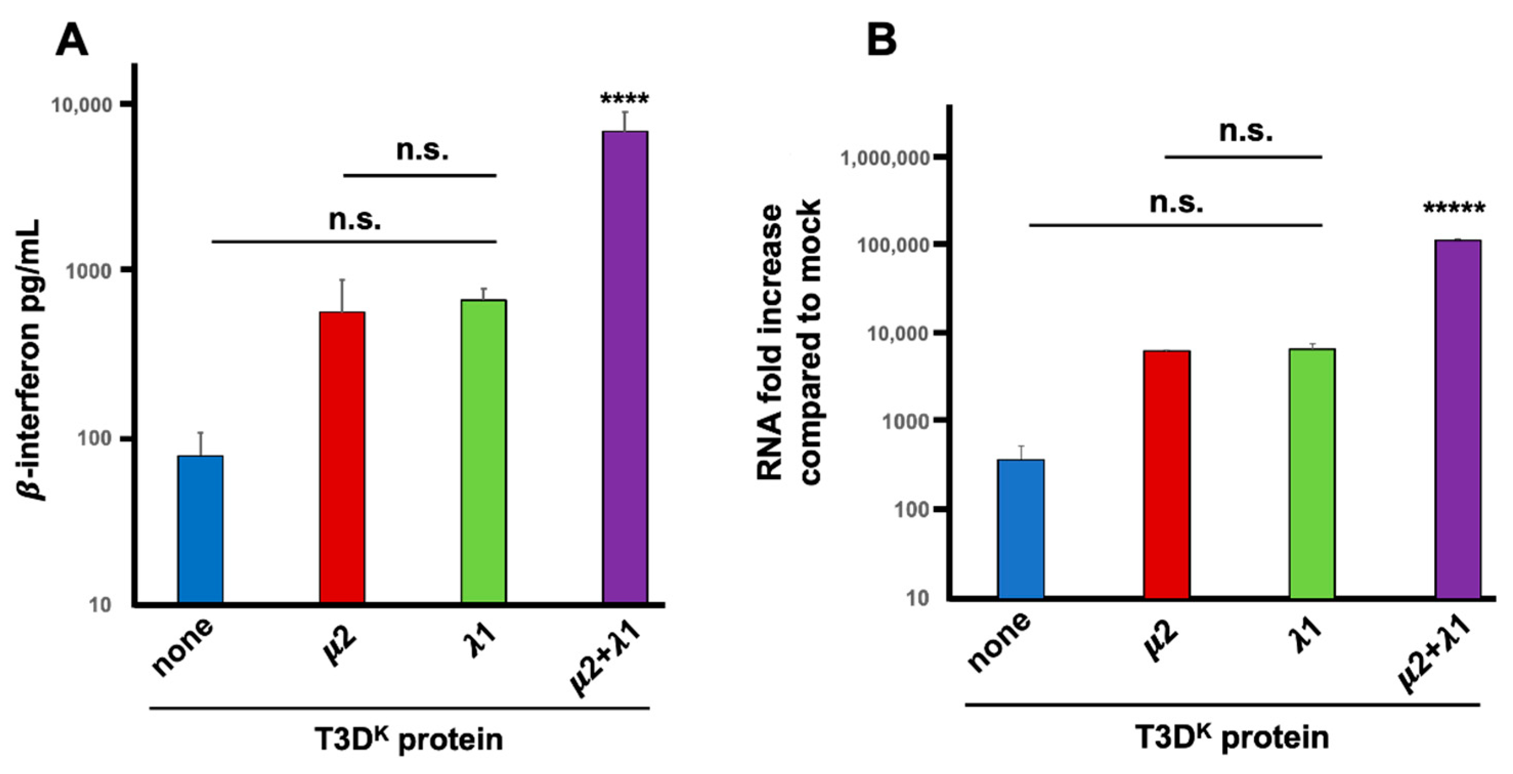 Viruses 14 02638 g001 Viruses 14 02638 g001