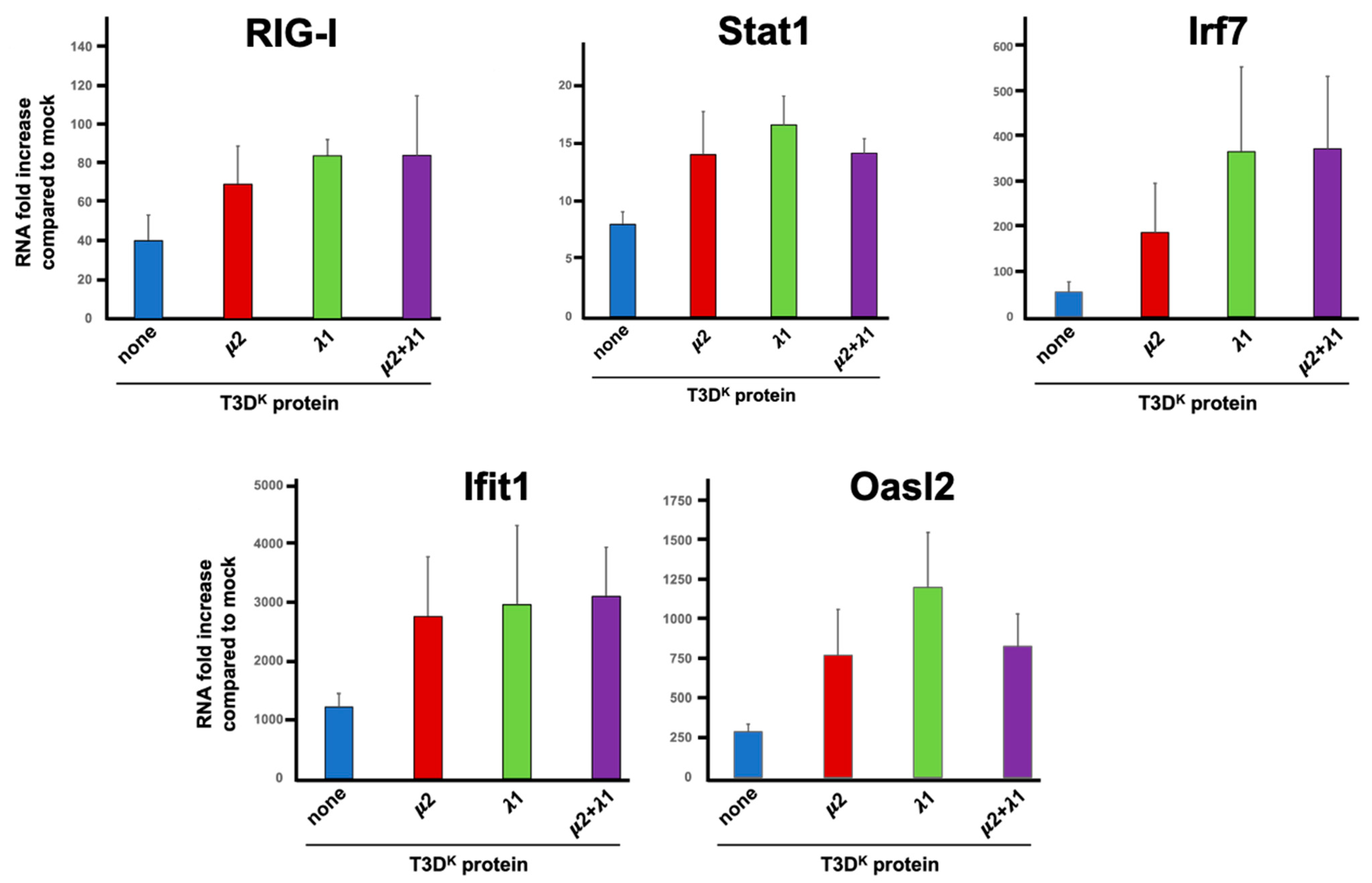 Viruses 14 02638 g006 Viruses 14 02638 g006