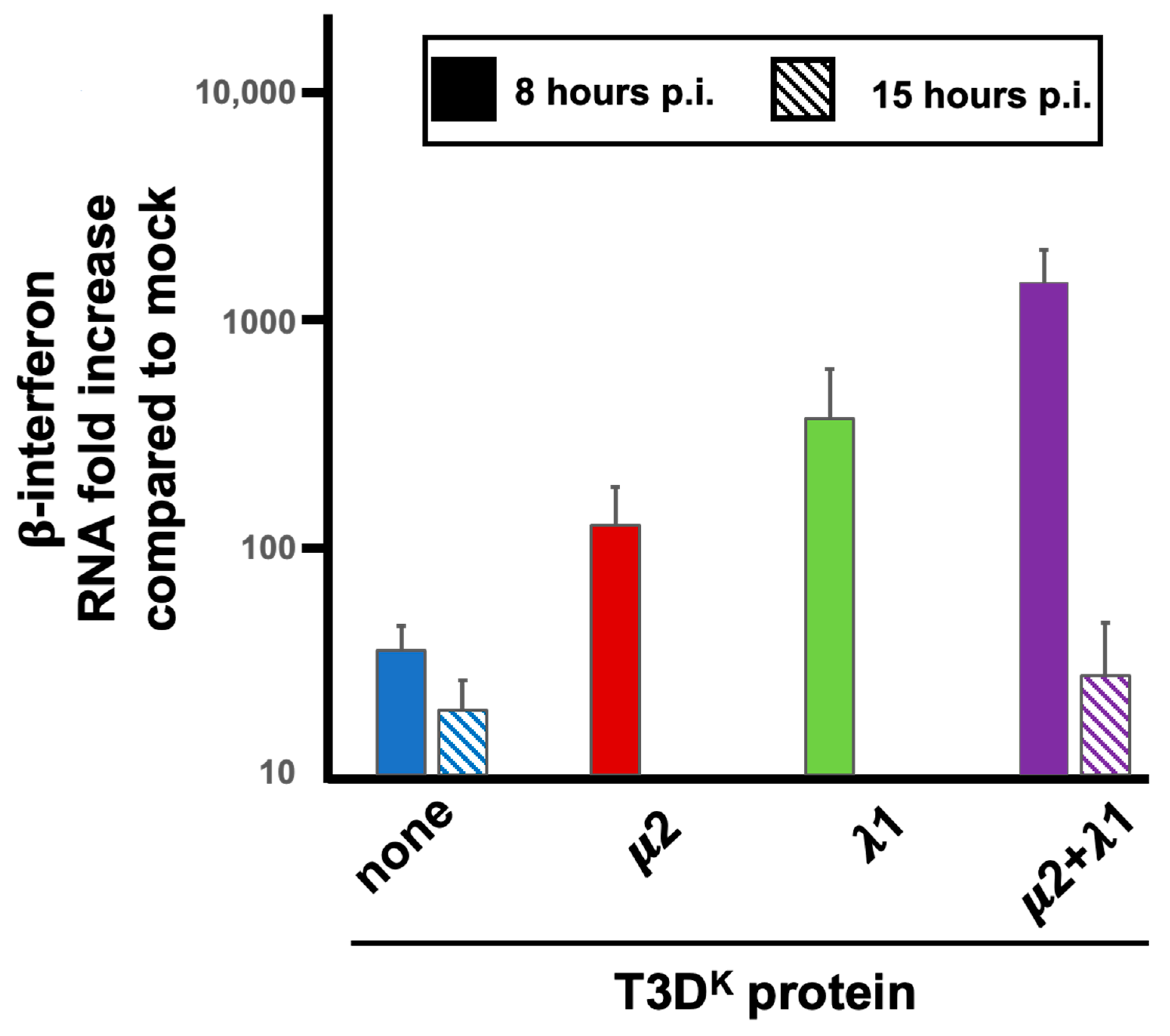 Viruses 14 02638 g009 Viruses 14 02638 g009