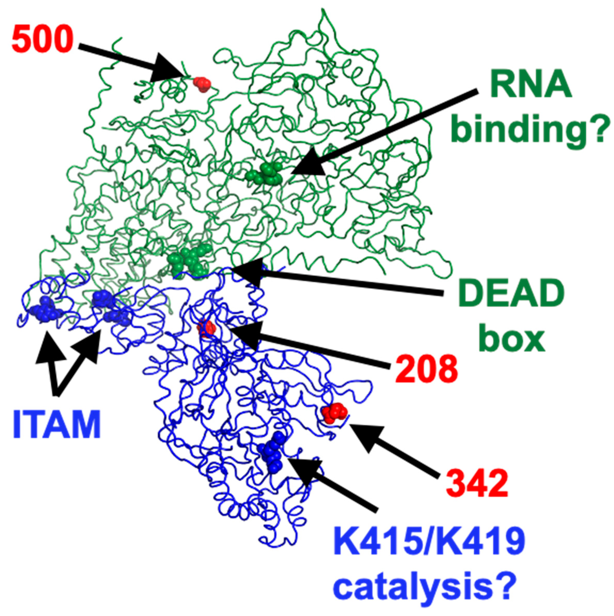 Viruses 14 02638 g010 Viruses 14 02638 g010