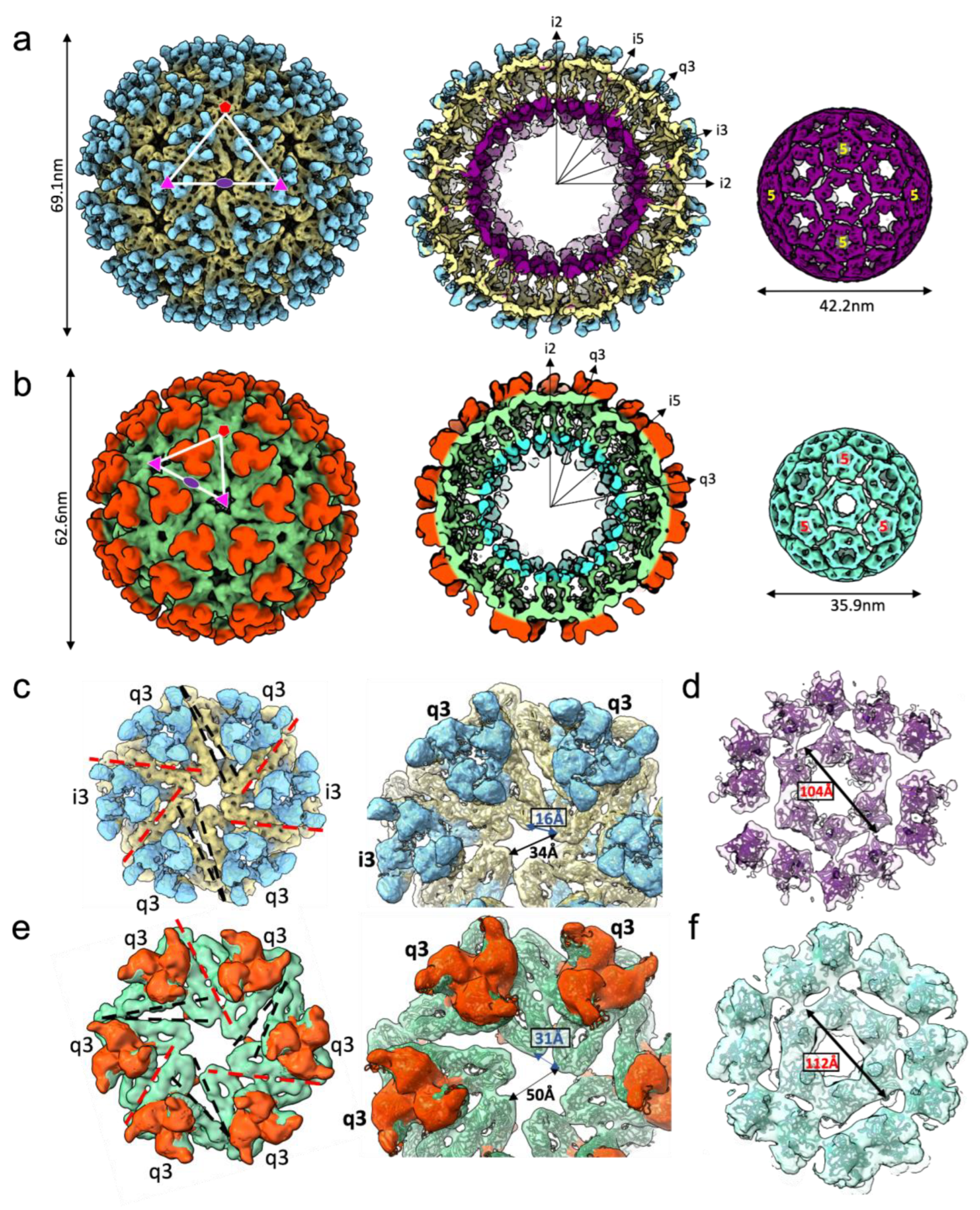 Viruses 14 02650 g002