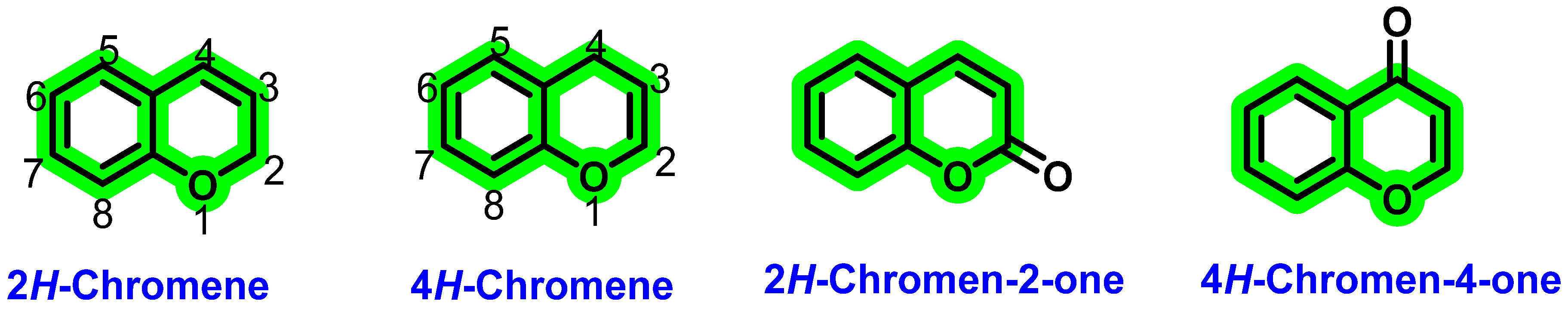 Viruses 14 02656 g003