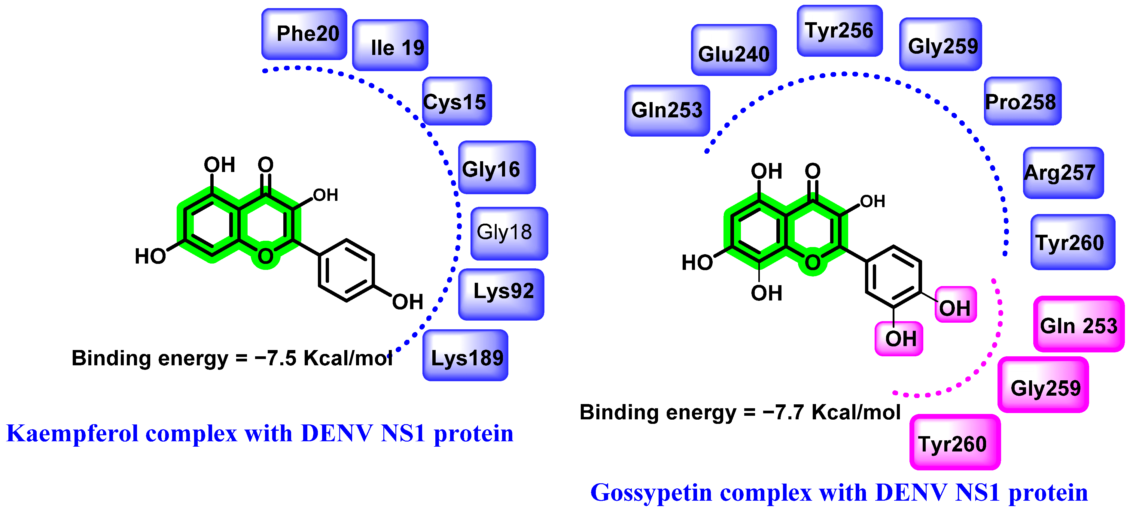 Viruses 14 02656 g004