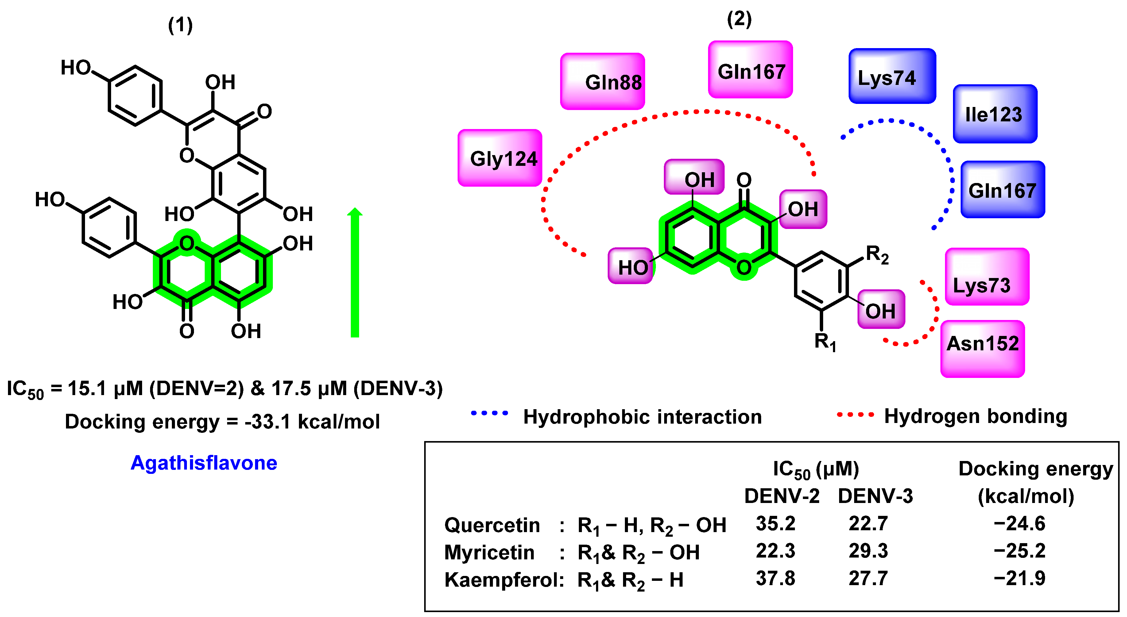 Viruses 14 02656 g007