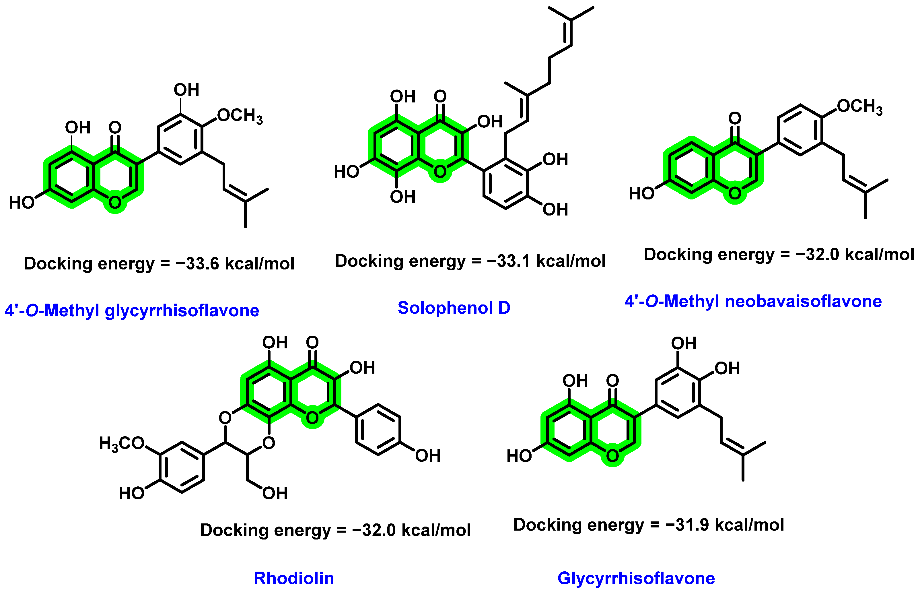 Viruses 14 02656 g008