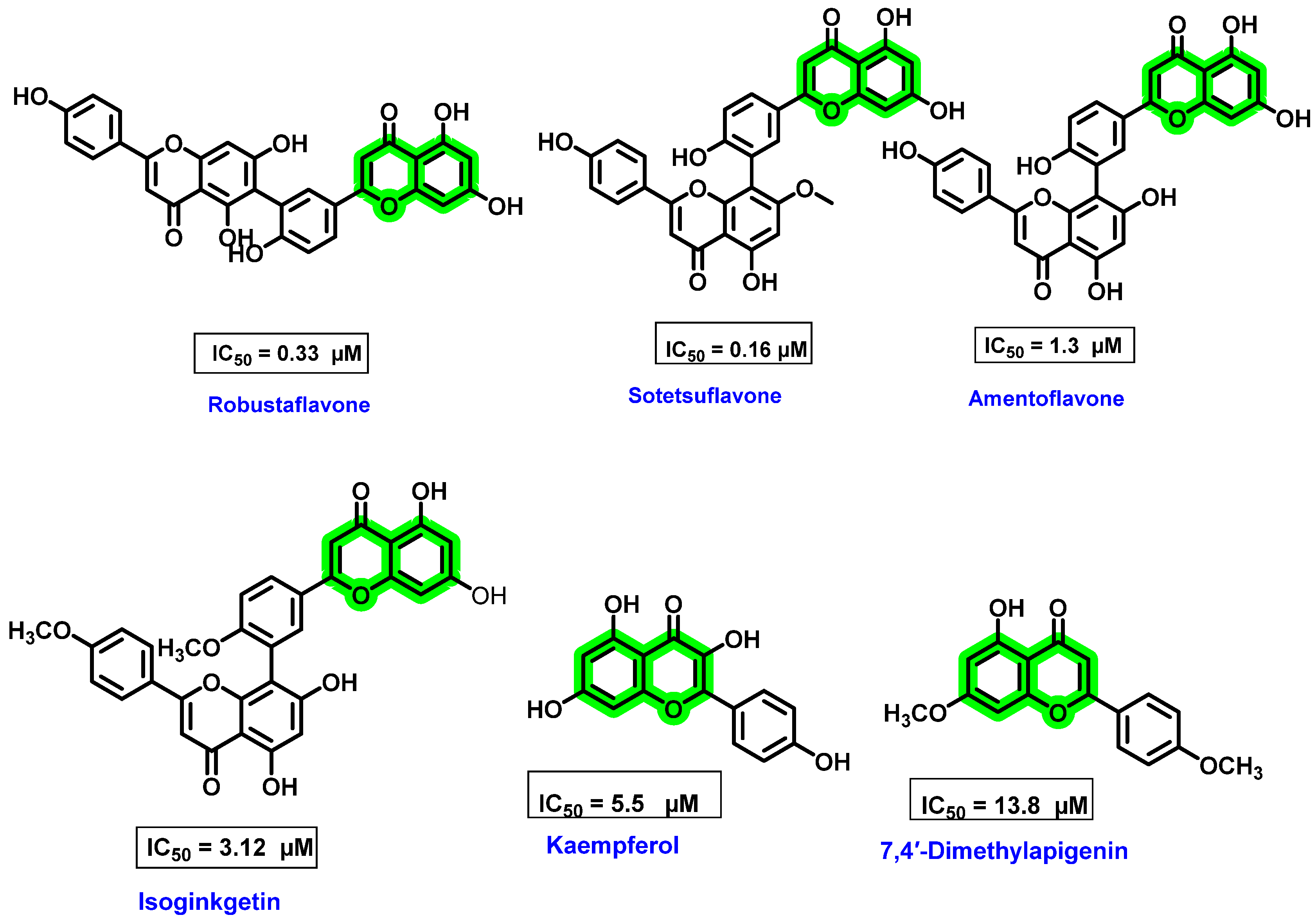 Viruses 14 02656 g011