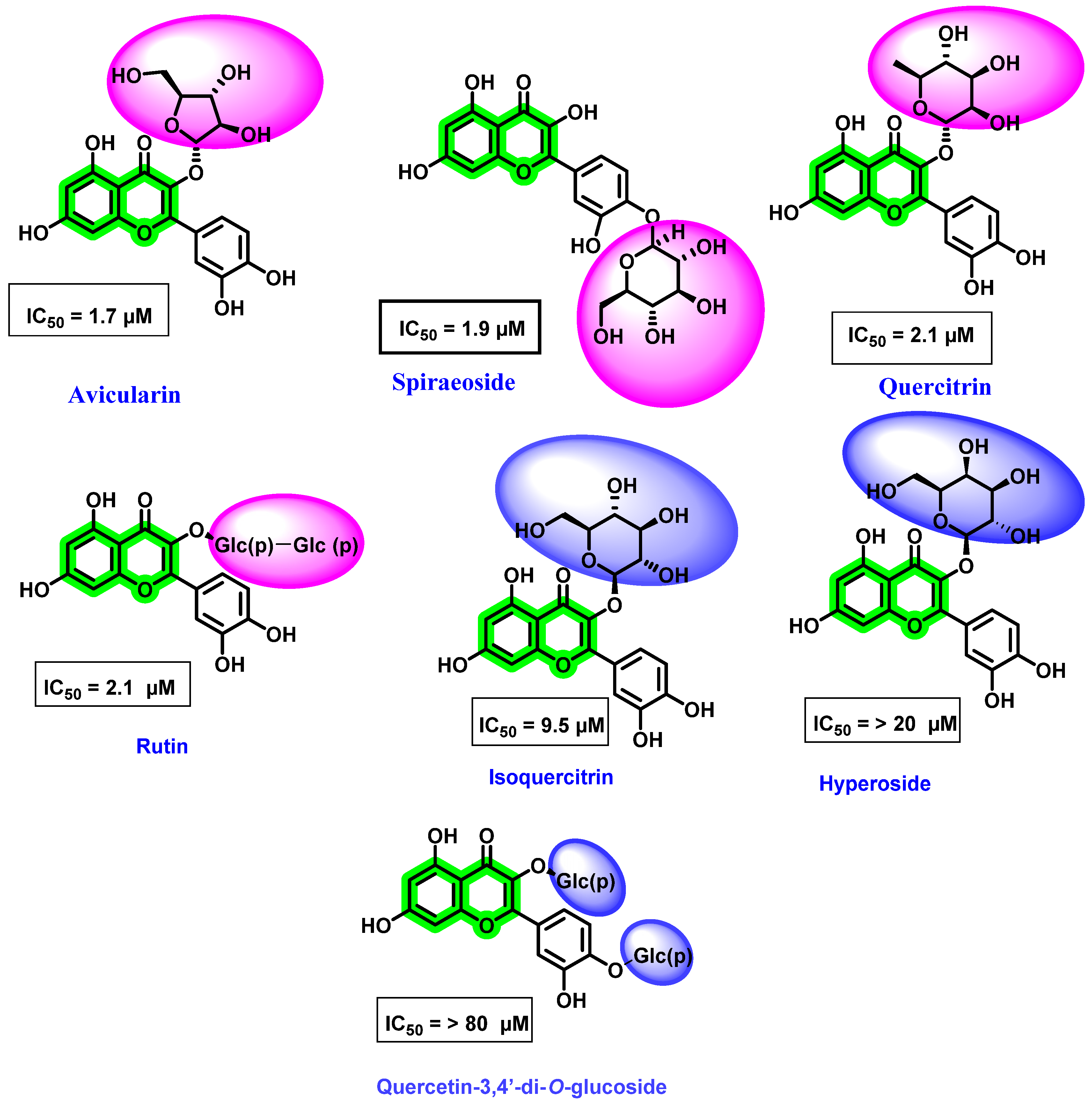 Viruses 14 02656 g012