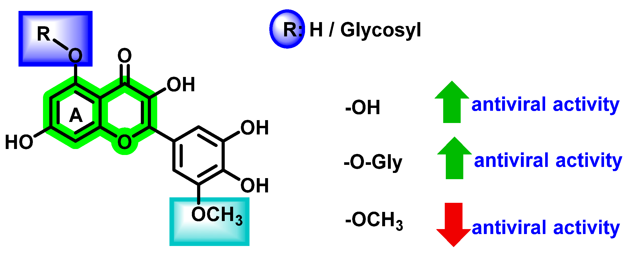 Viruses 14 02656 g017