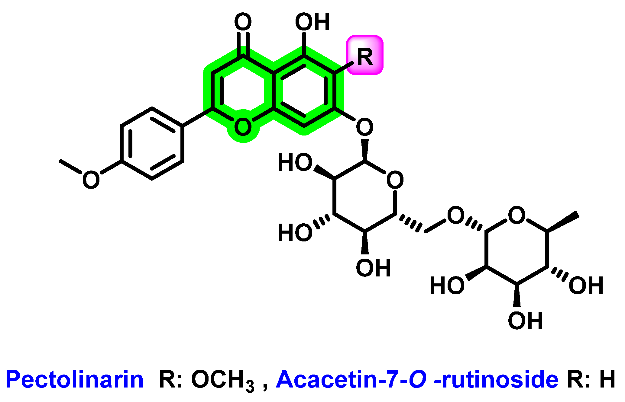 Viruses 14 02656 g019