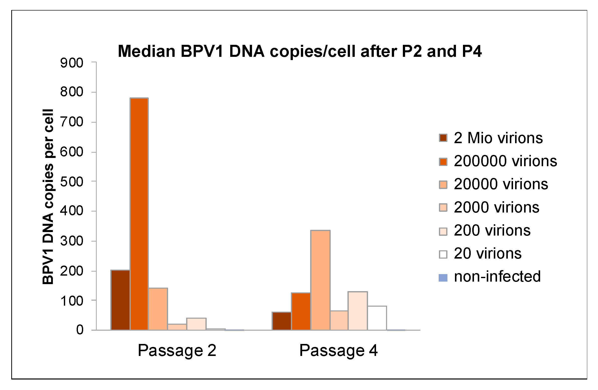 Viruses 14 02658 g003