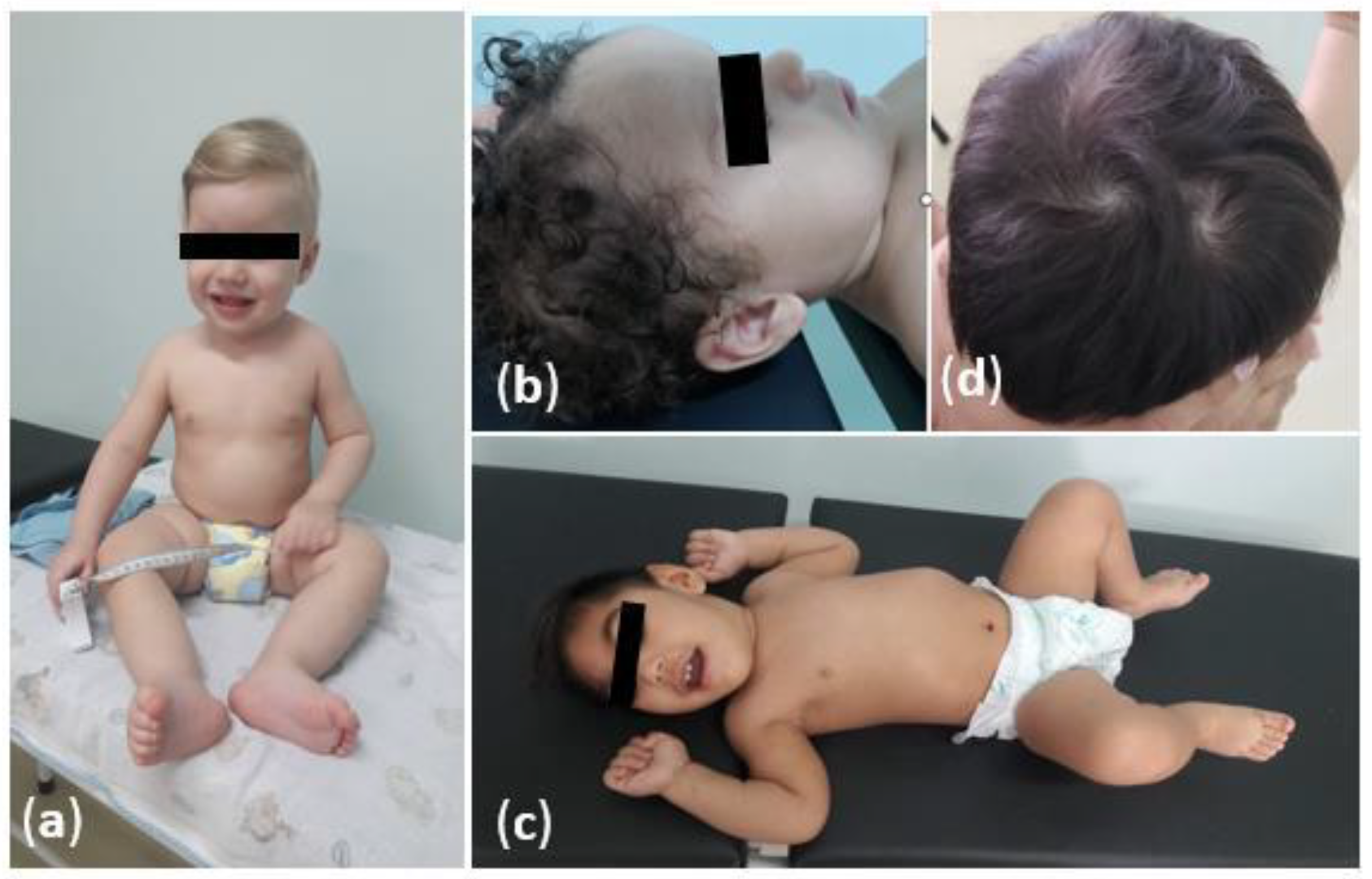 Viruses 14 02659 g001