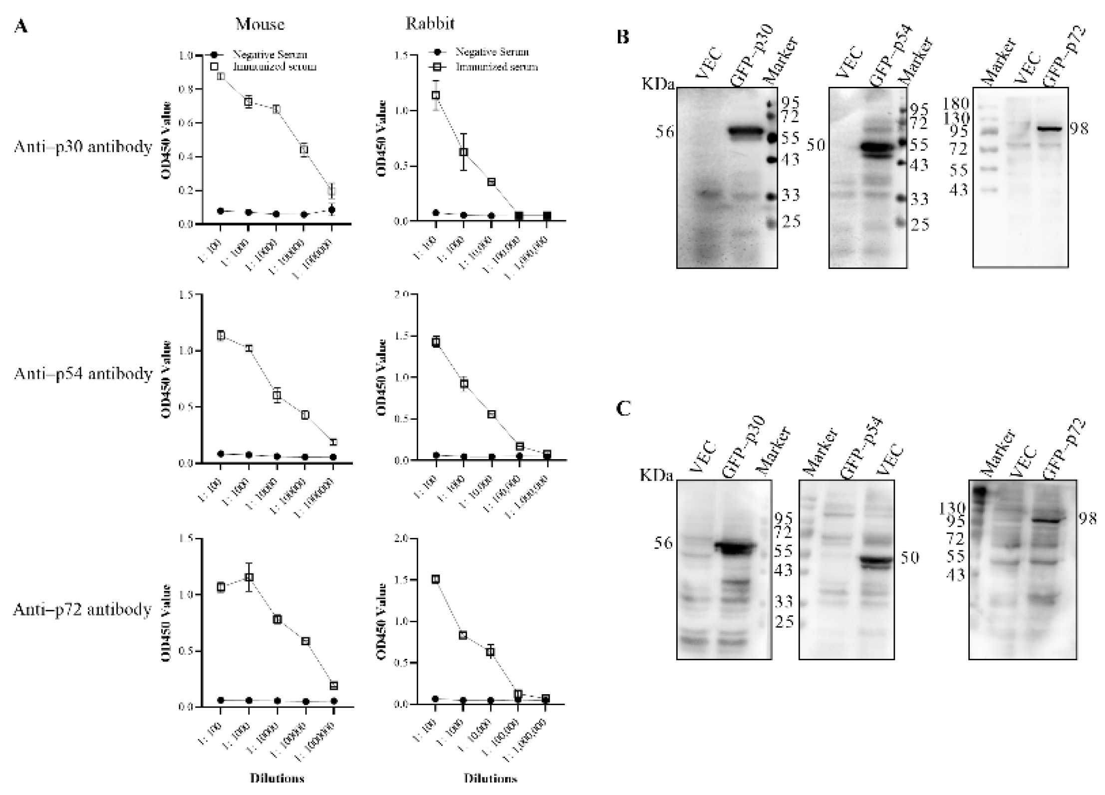 Viruses 14 02660 g003