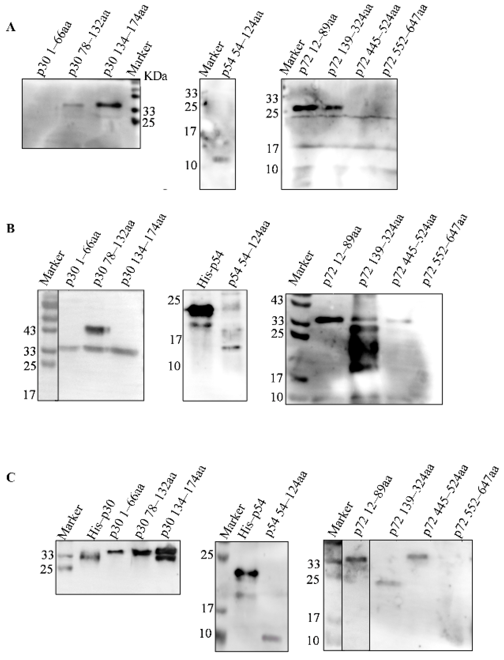 Viruses 14 02660 g005